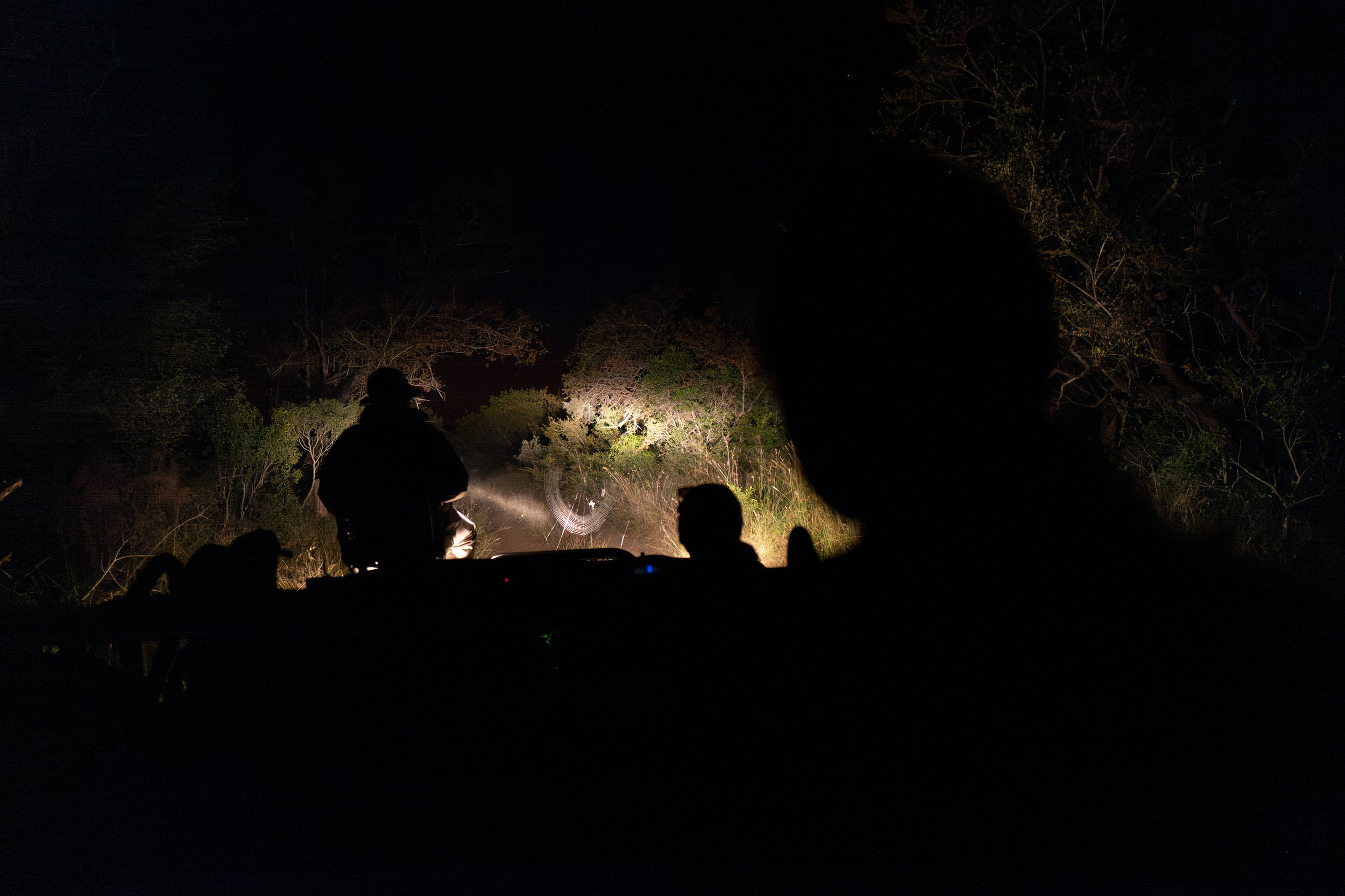 A surprise spiderweb (photo/Jason Rafal)