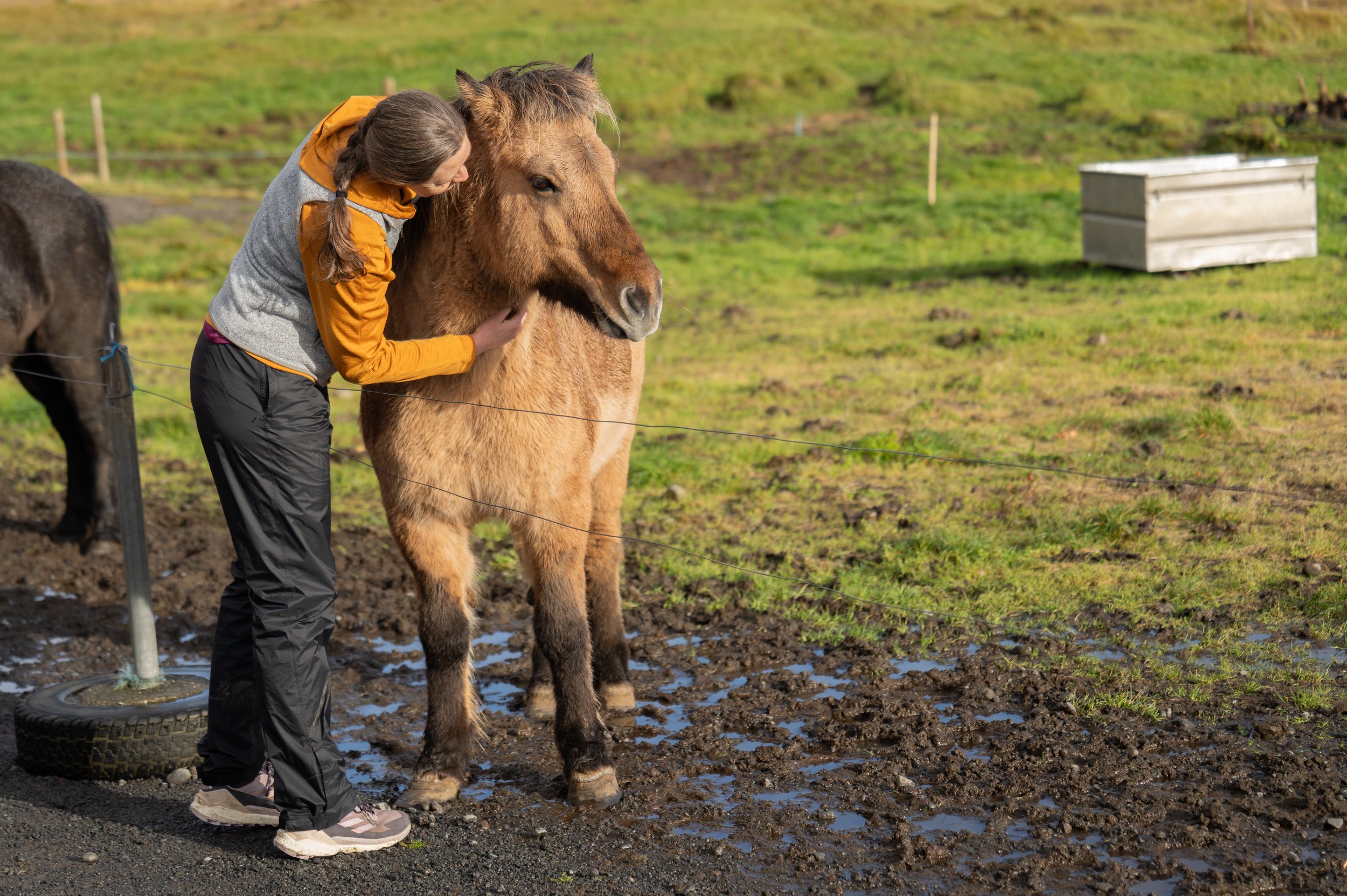  I would take this pony home (photo/Jason Rafal) 