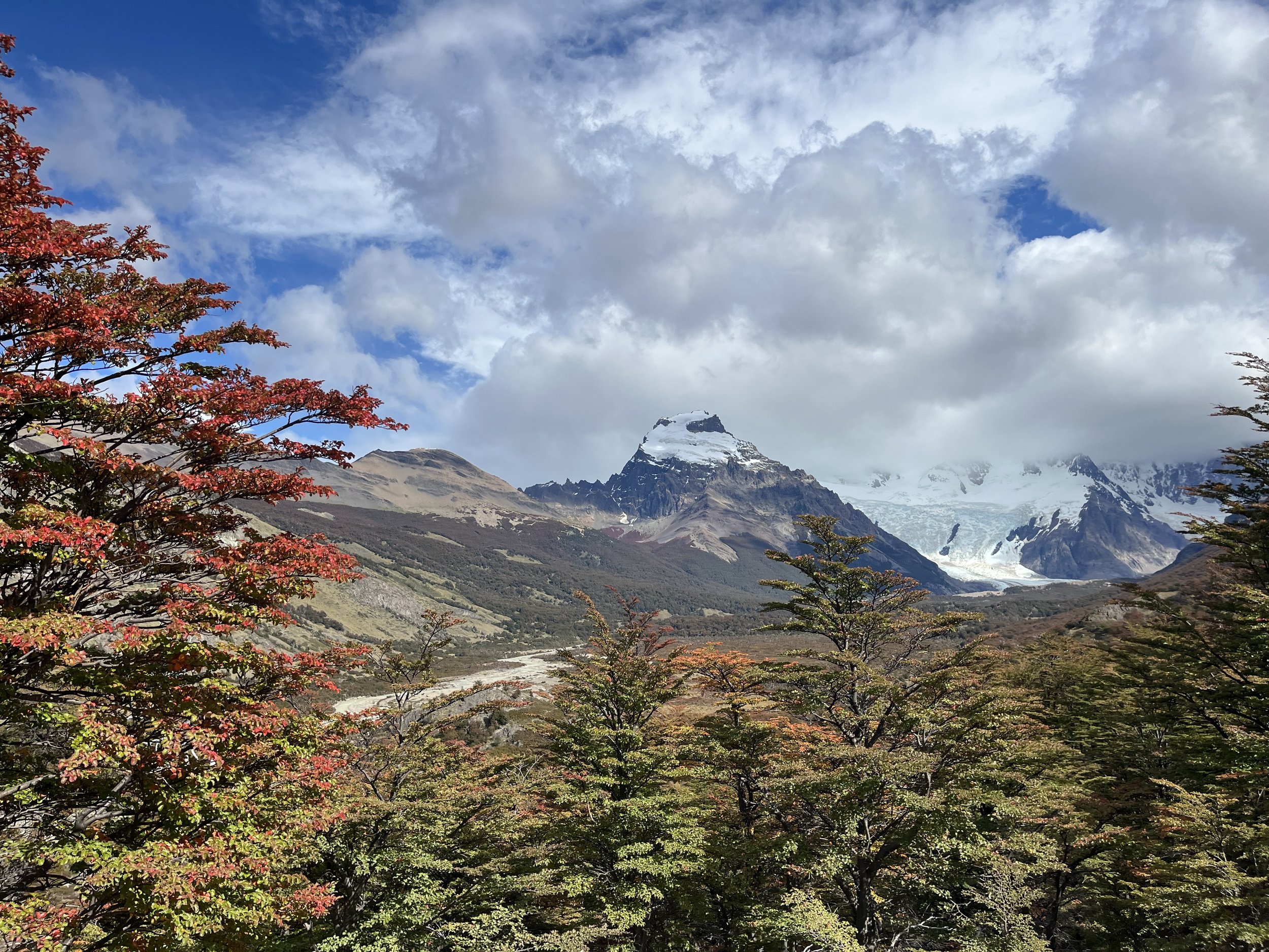  Fall colors at the mirador (photo/Nicole Harrison) 