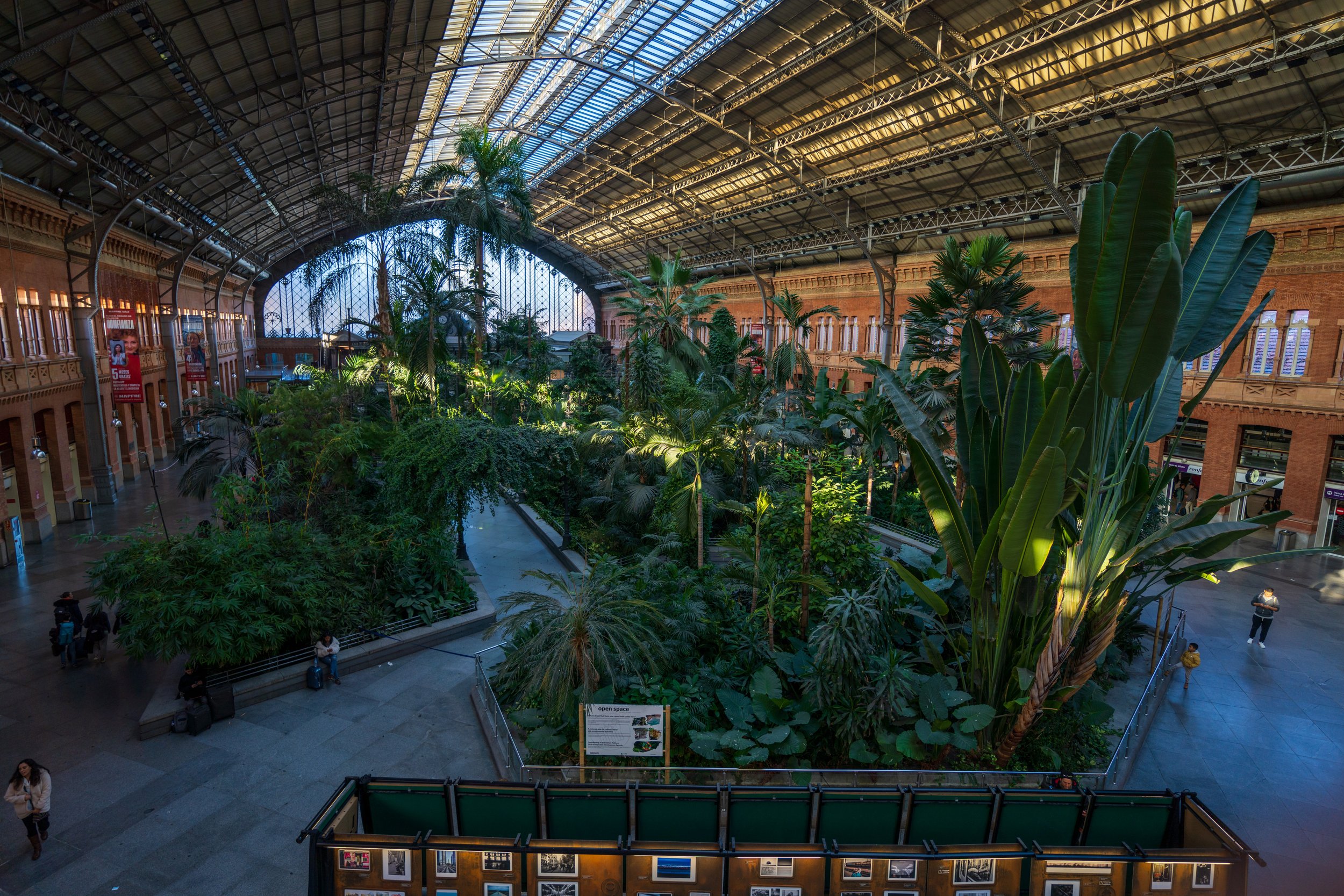  I want a forest in every train station now (photo/Jason Rafal) 