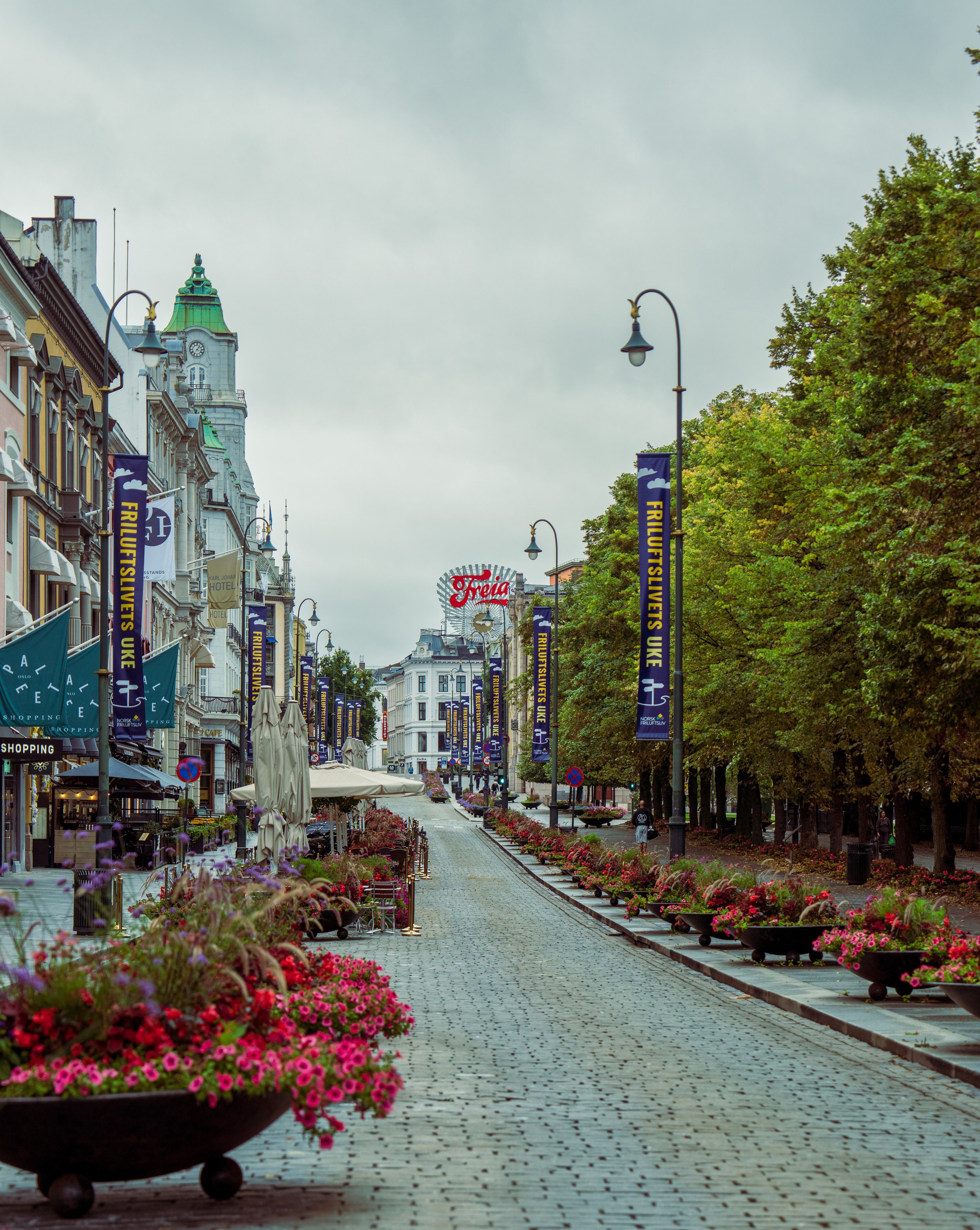 Another lovely street (photo/Jason Rafal)