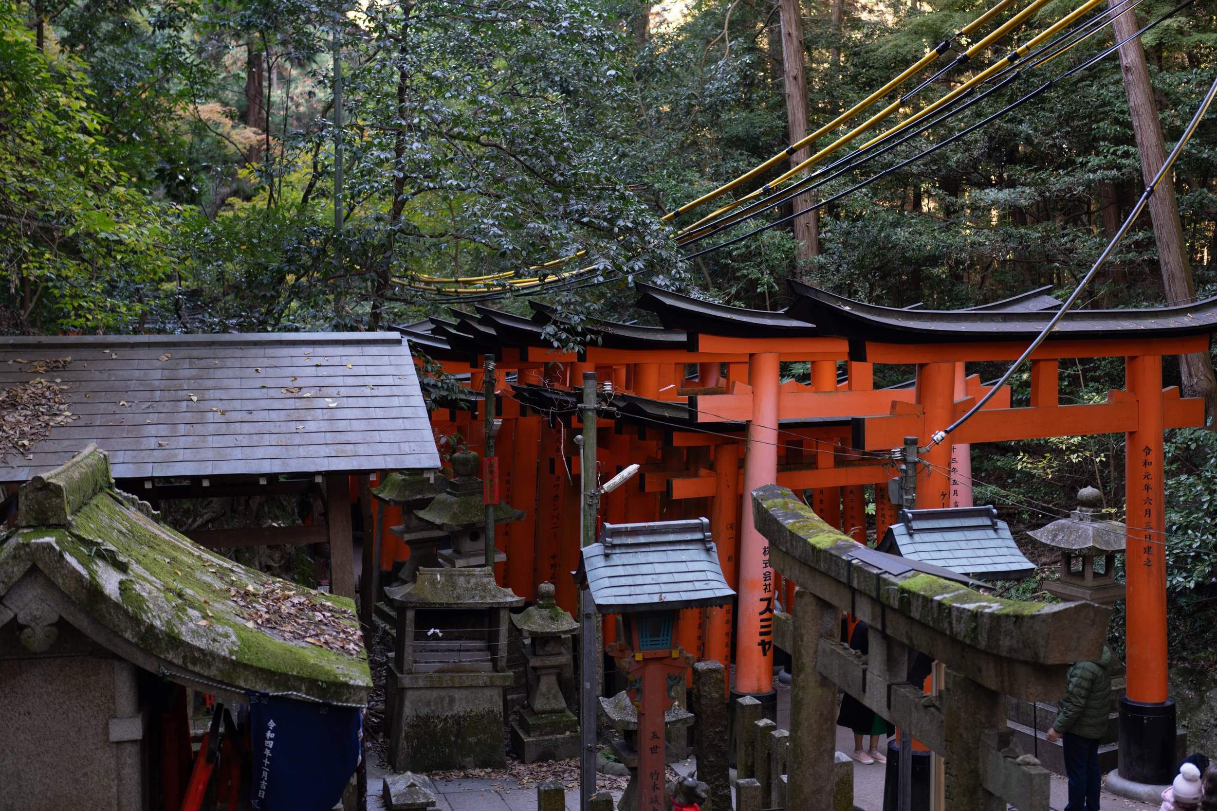  The gates led to groups of small shrines all over the mountain (photo/Jason Rafal) 