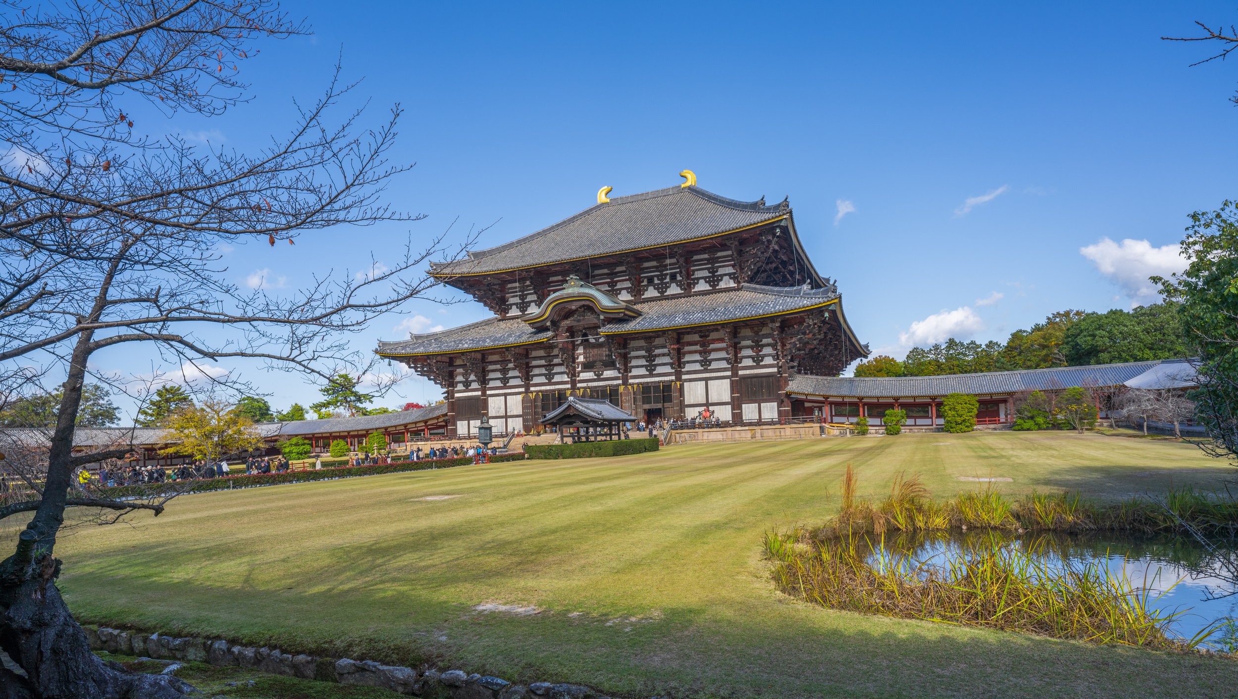  The Great Hall from the outside (photo/Jason Rafal) 