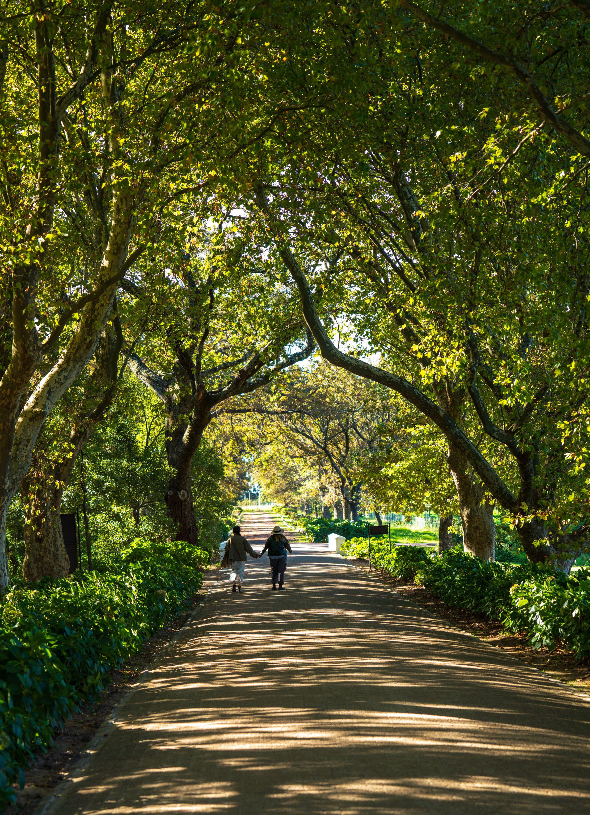  All three of these wineries were really beautiful properties (photo/Jason Rafal) 