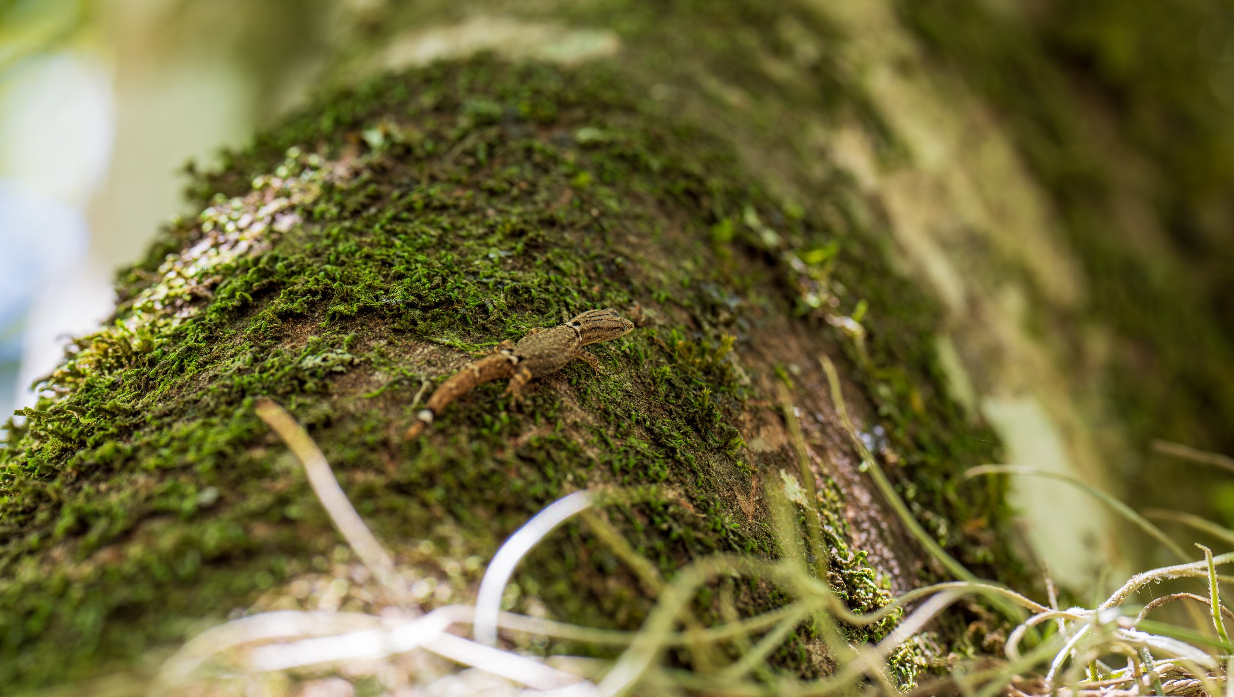  Just a little guy (photo/Jason Rafal) 