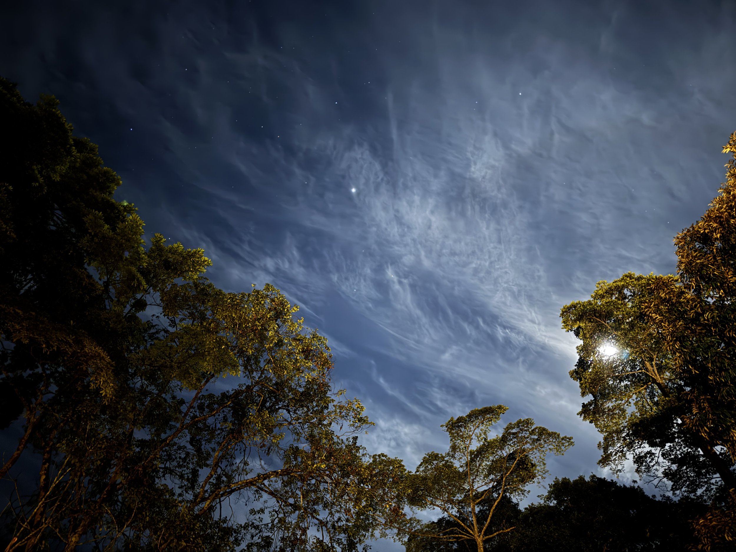 Looking up at a night sky.