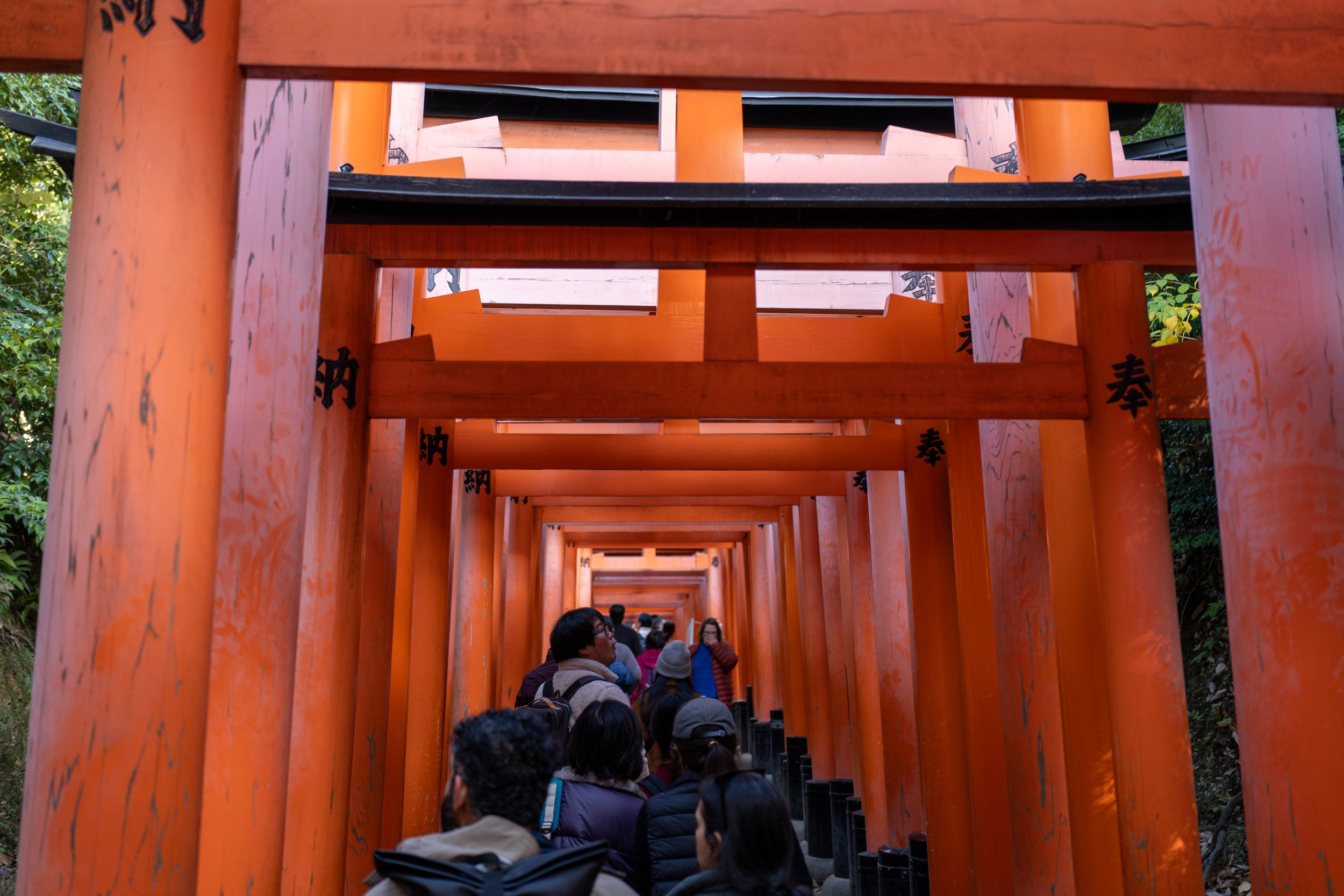  A typical crowded scene near the base of the gates (photo/Jason Rafal) 
