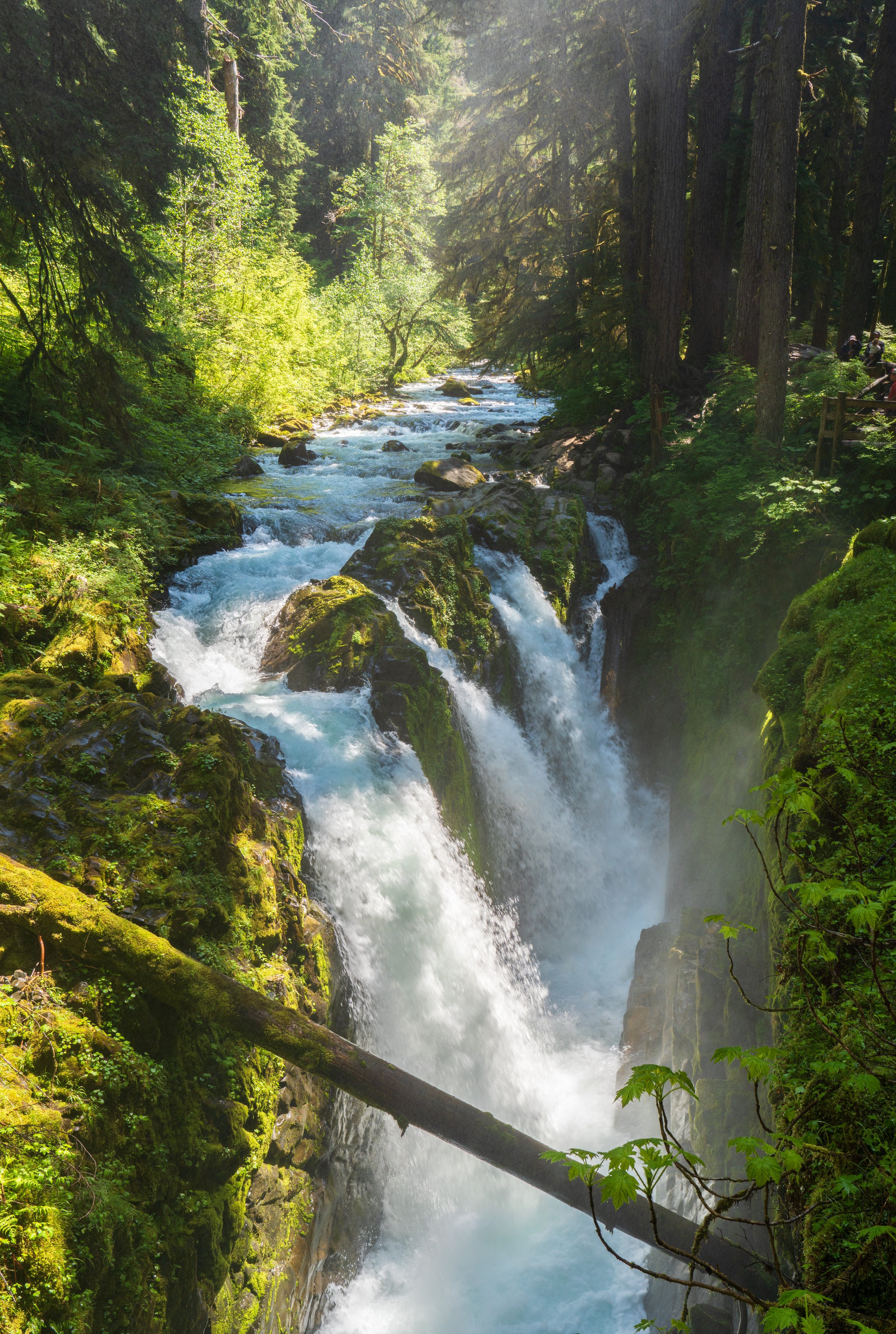 A large, cascading waterfall in the woods.