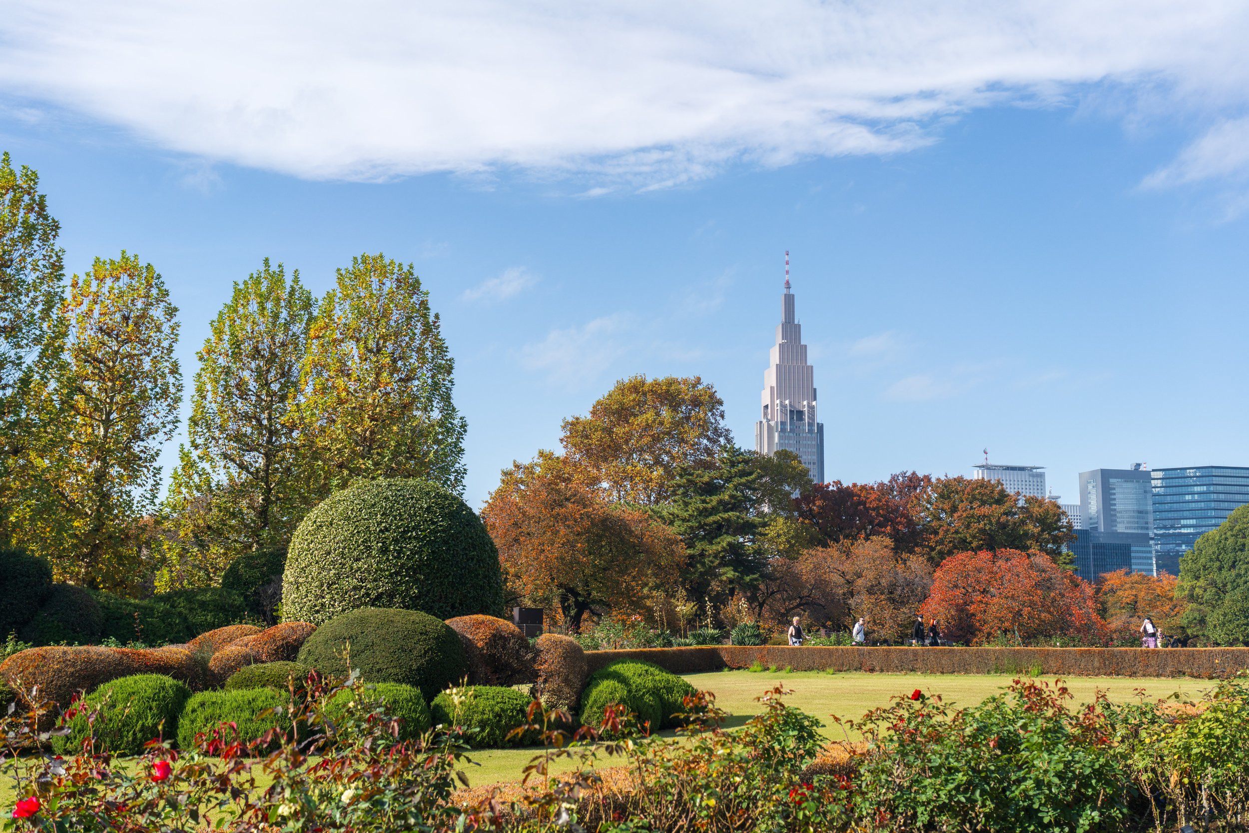 There was a formal, more manicured area of the garden (photo/Jason Rafal) 