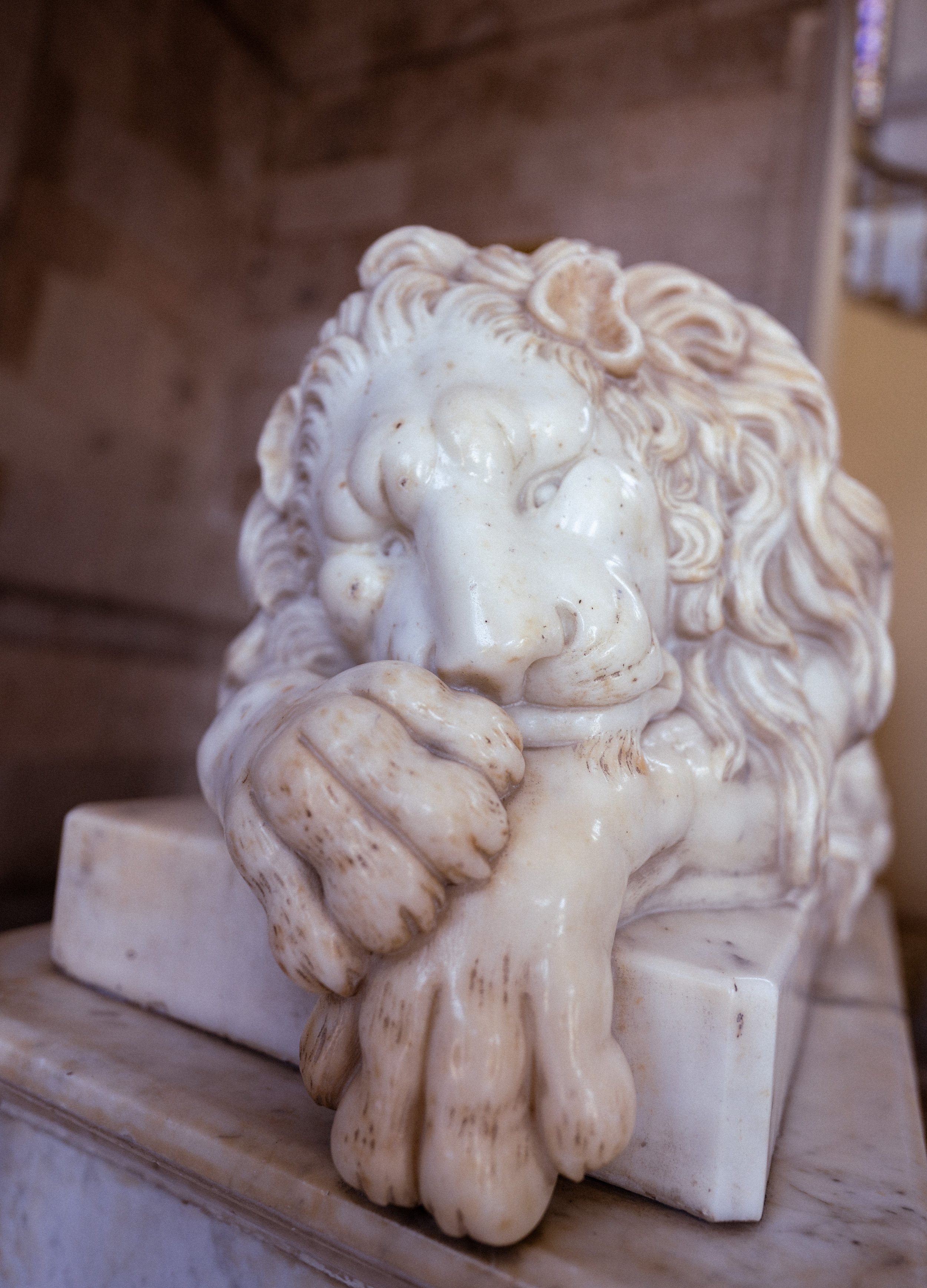 A mopey guardian lion (photo/Jason Rafal)