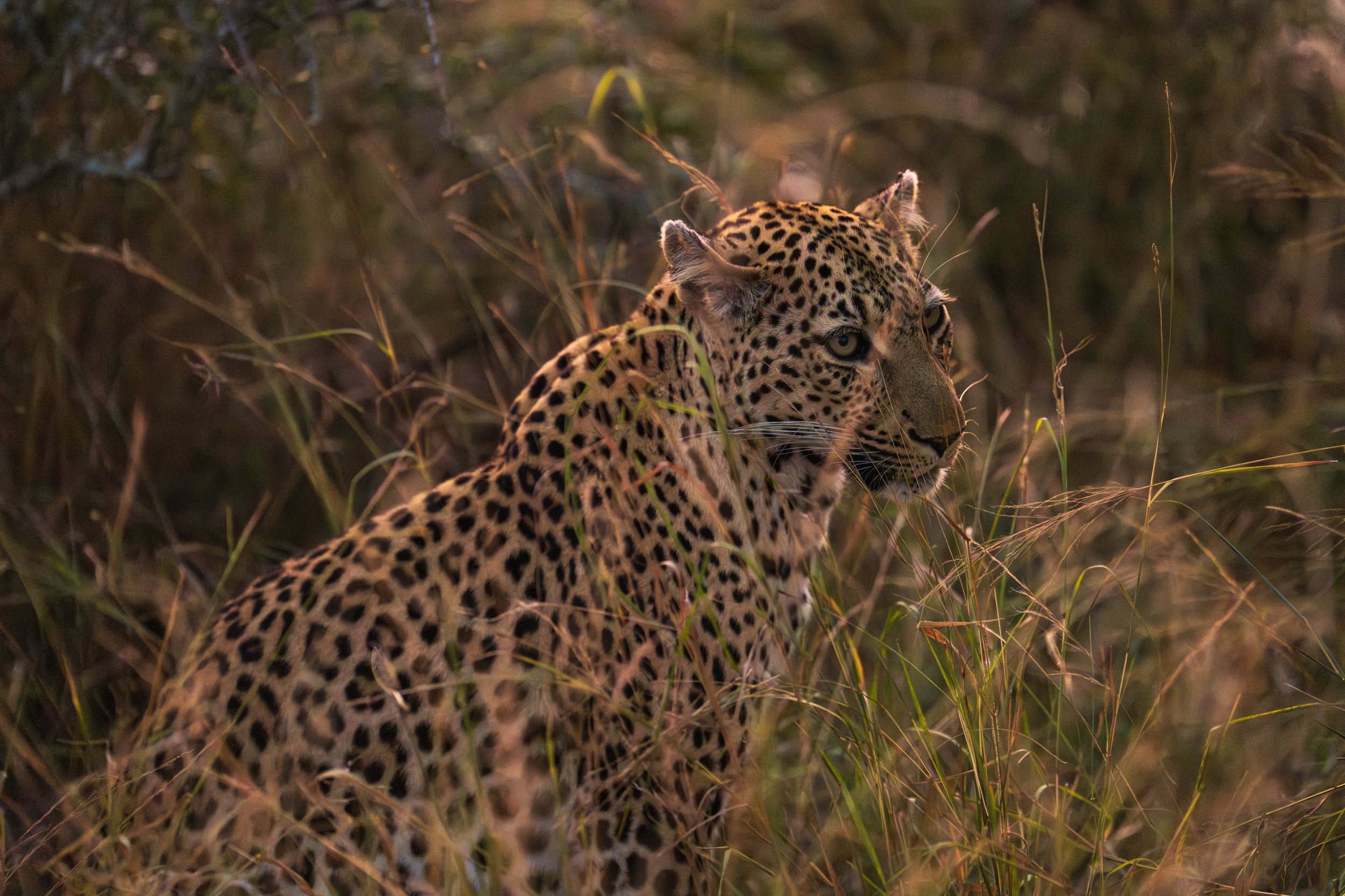 Starting to wake up and look around (photo/Jason Rafal)