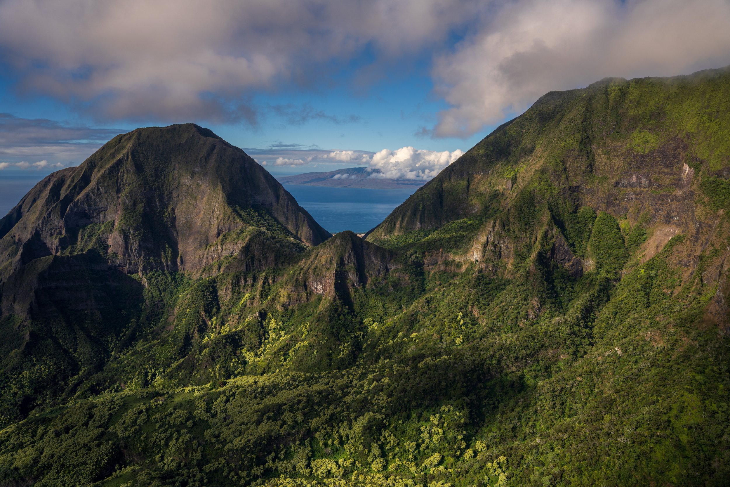  West Maui Forest Reserve with Pacific Ocean behind (photo/Jason Rafal) 