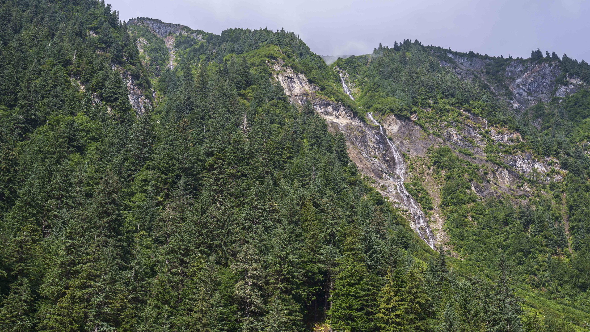 Looking up at a waterfall coming down a forested mountain.