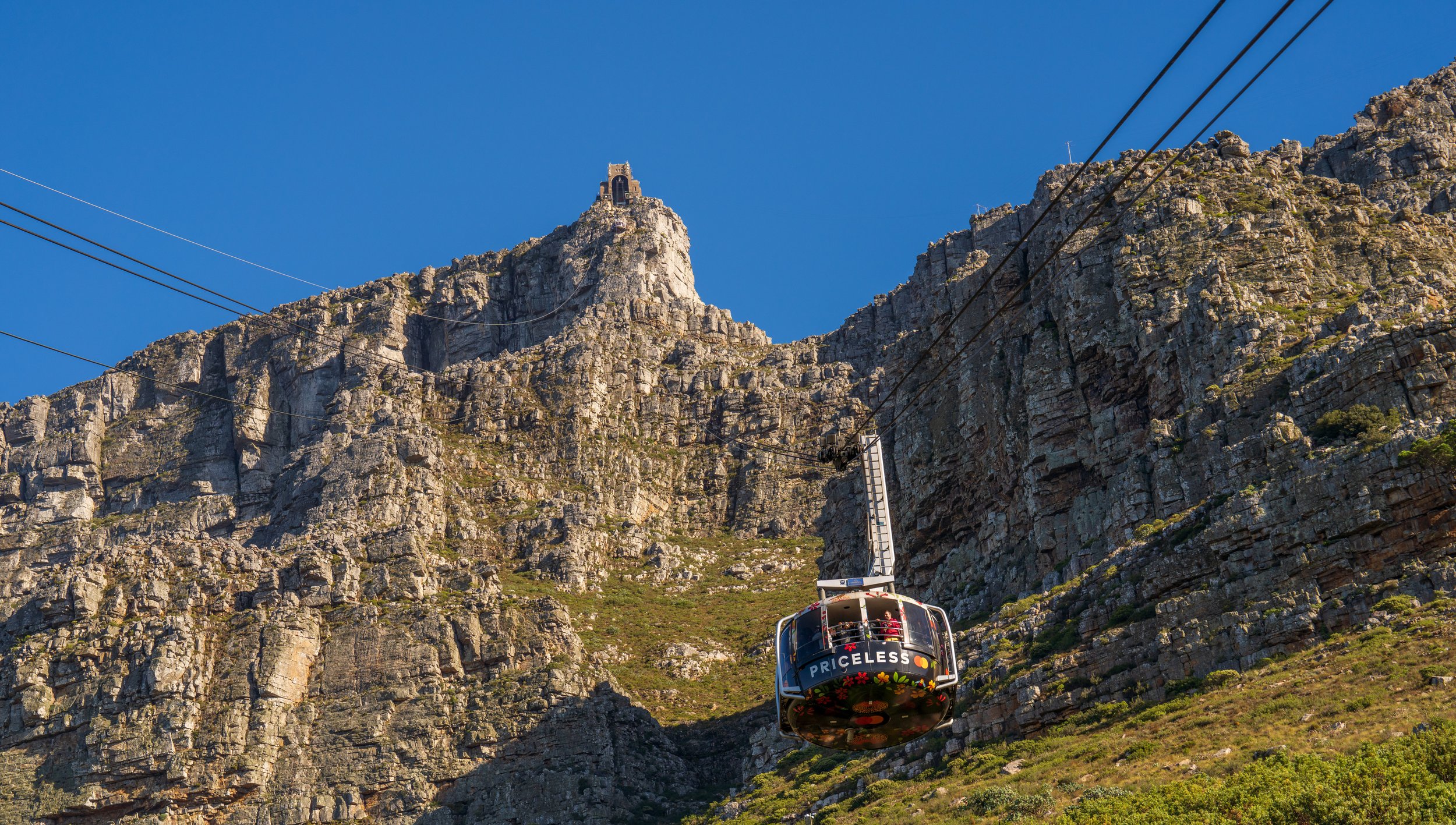  The view up the cables (photo/Jason Rafal) 