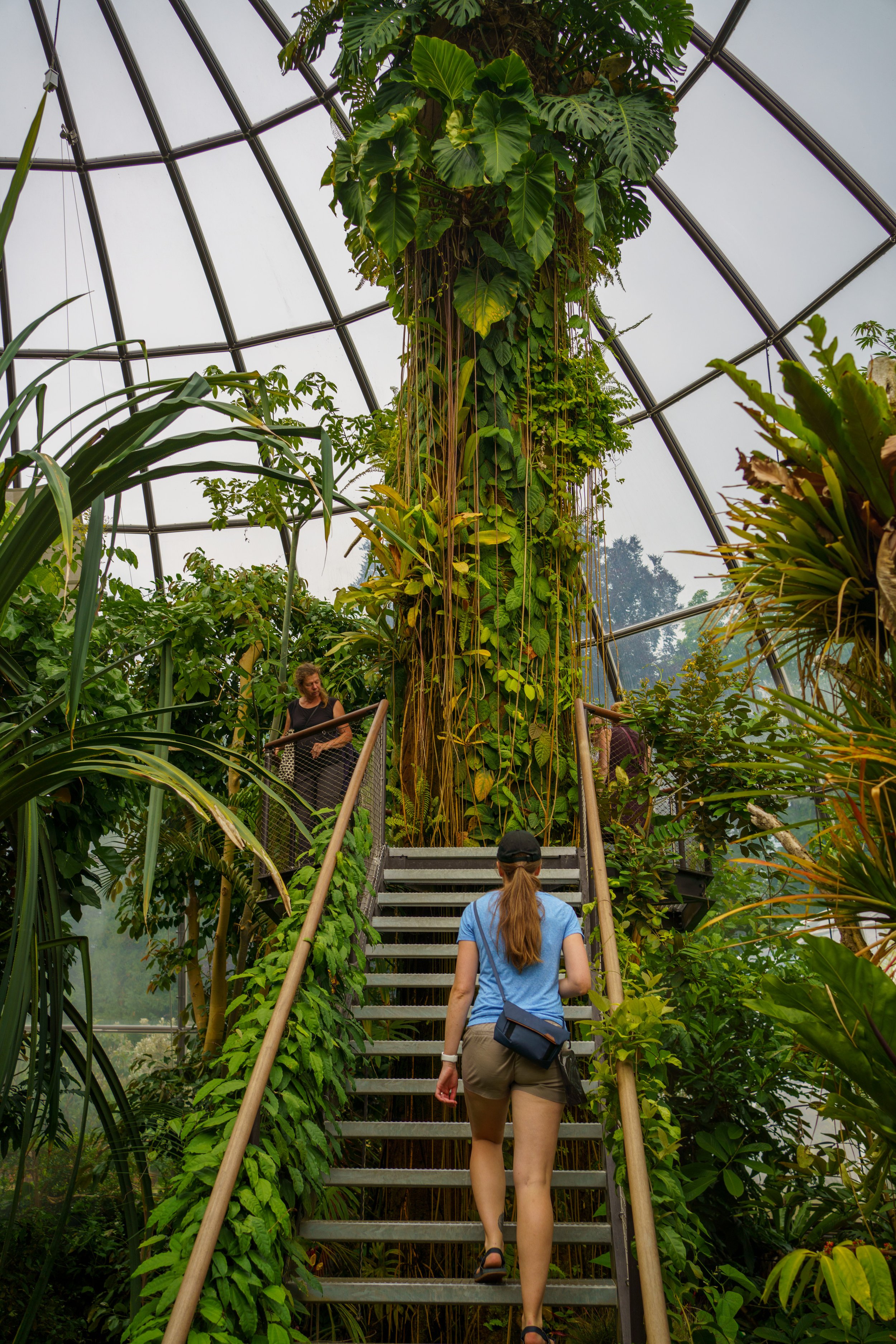 One of the beautiful domes at the botanic garden (photo/Jason Rafal)