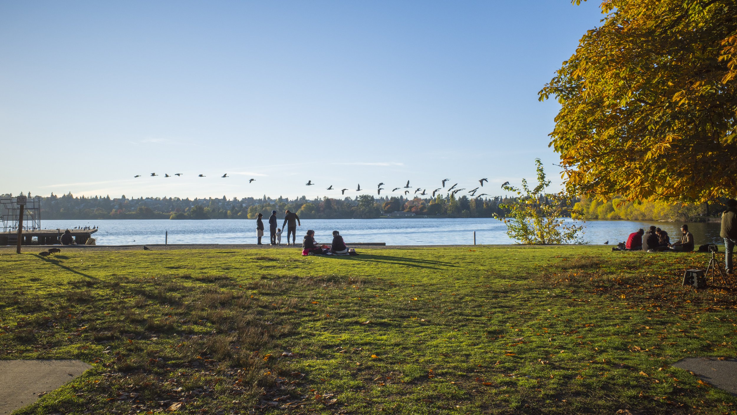  Green Lake is always a pretty magical place, but fall is an especially special time there (photo/Jason Rafal) 