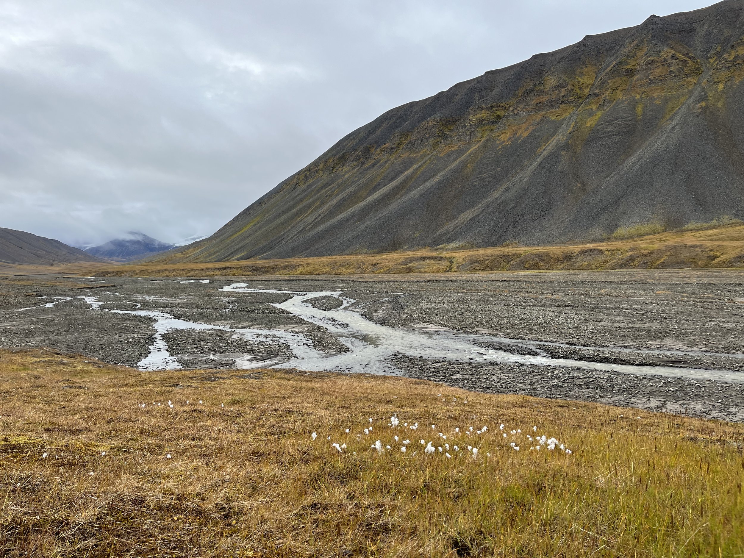  Looking up the valley (photo/Nicole Harrison) 