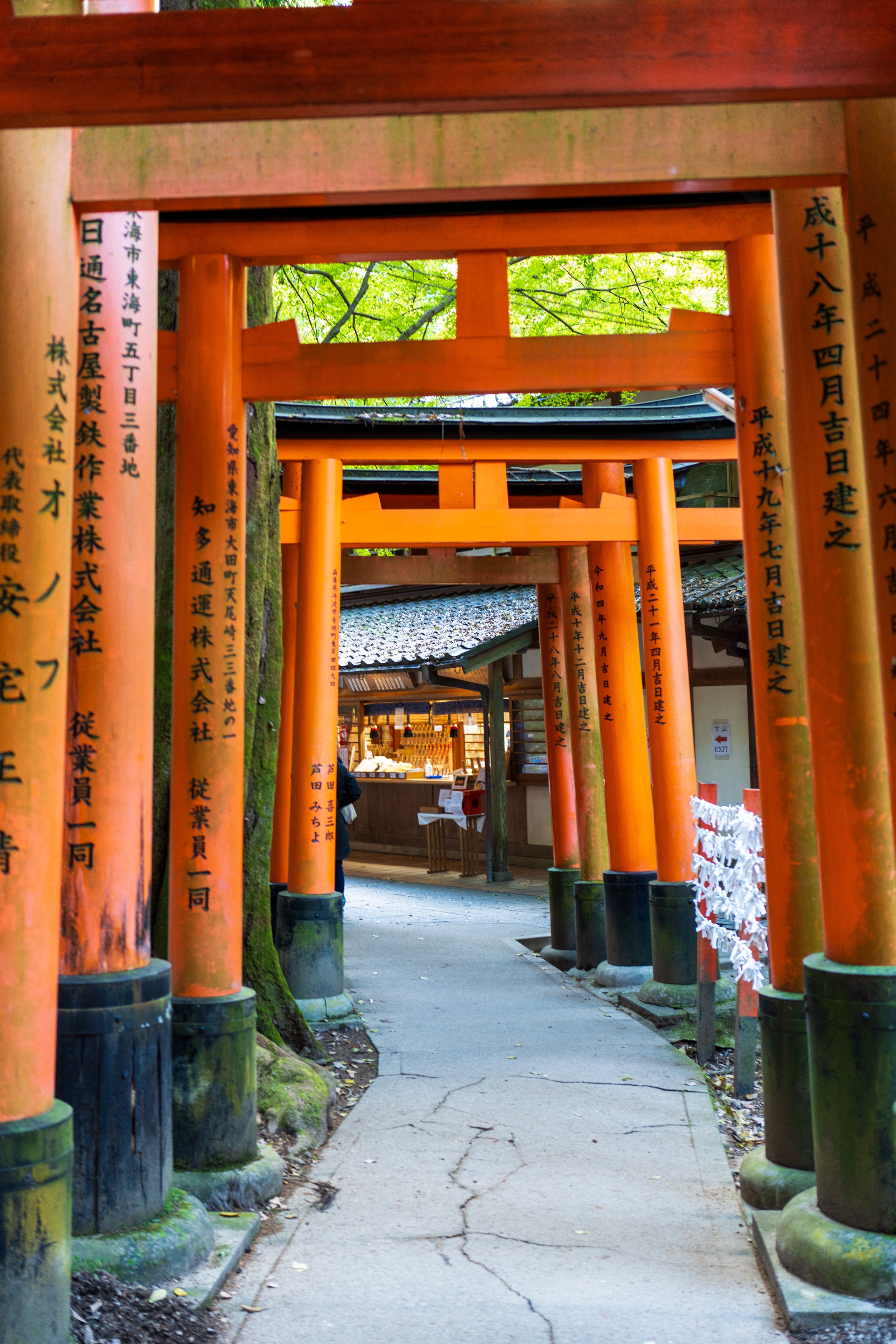  A typical scene as we walked up the mountain (photo/Jason Rafal) 