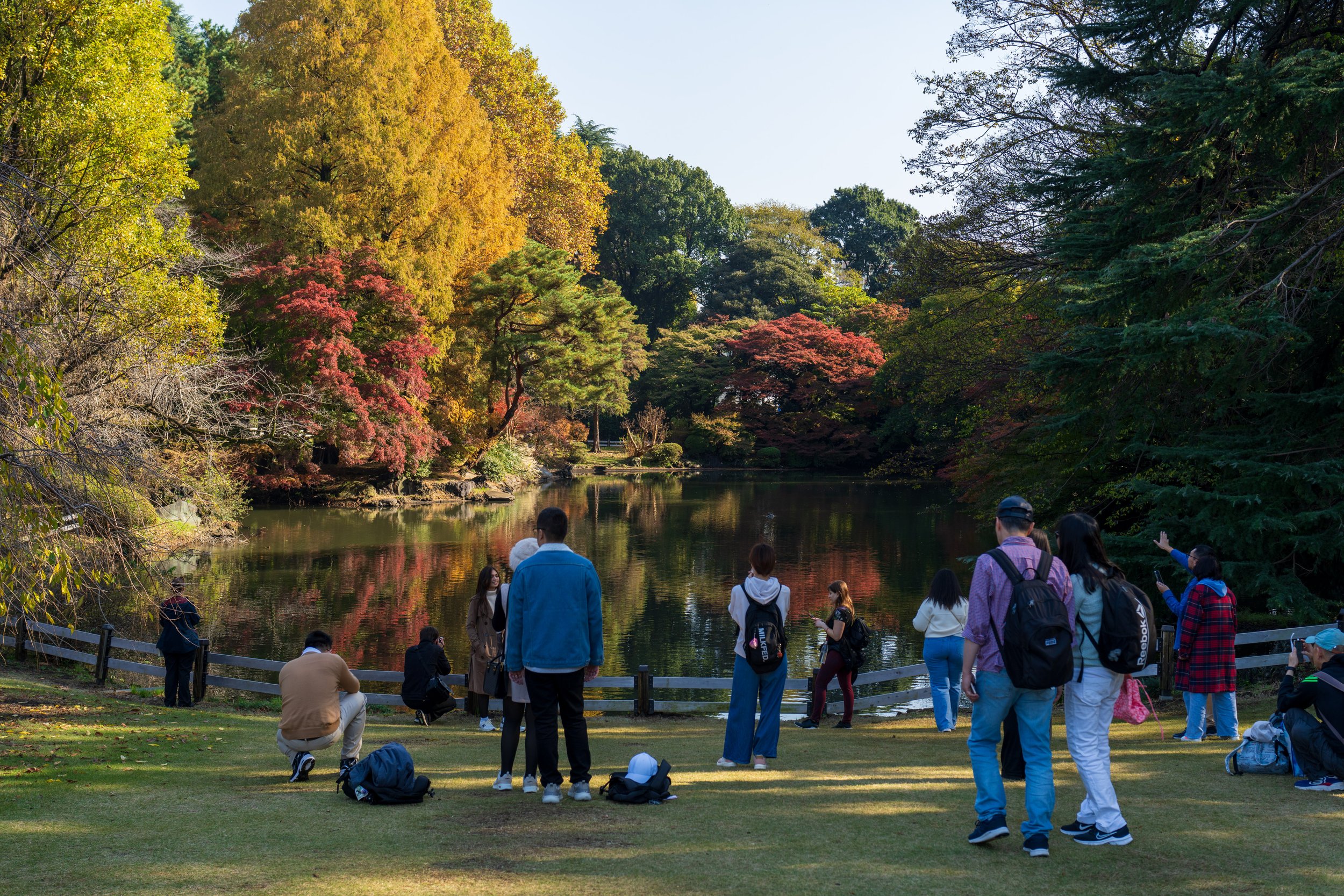  A typical scene around the park - pretty leaves and lots of people taking photos (photo/Jason Rafal) 
