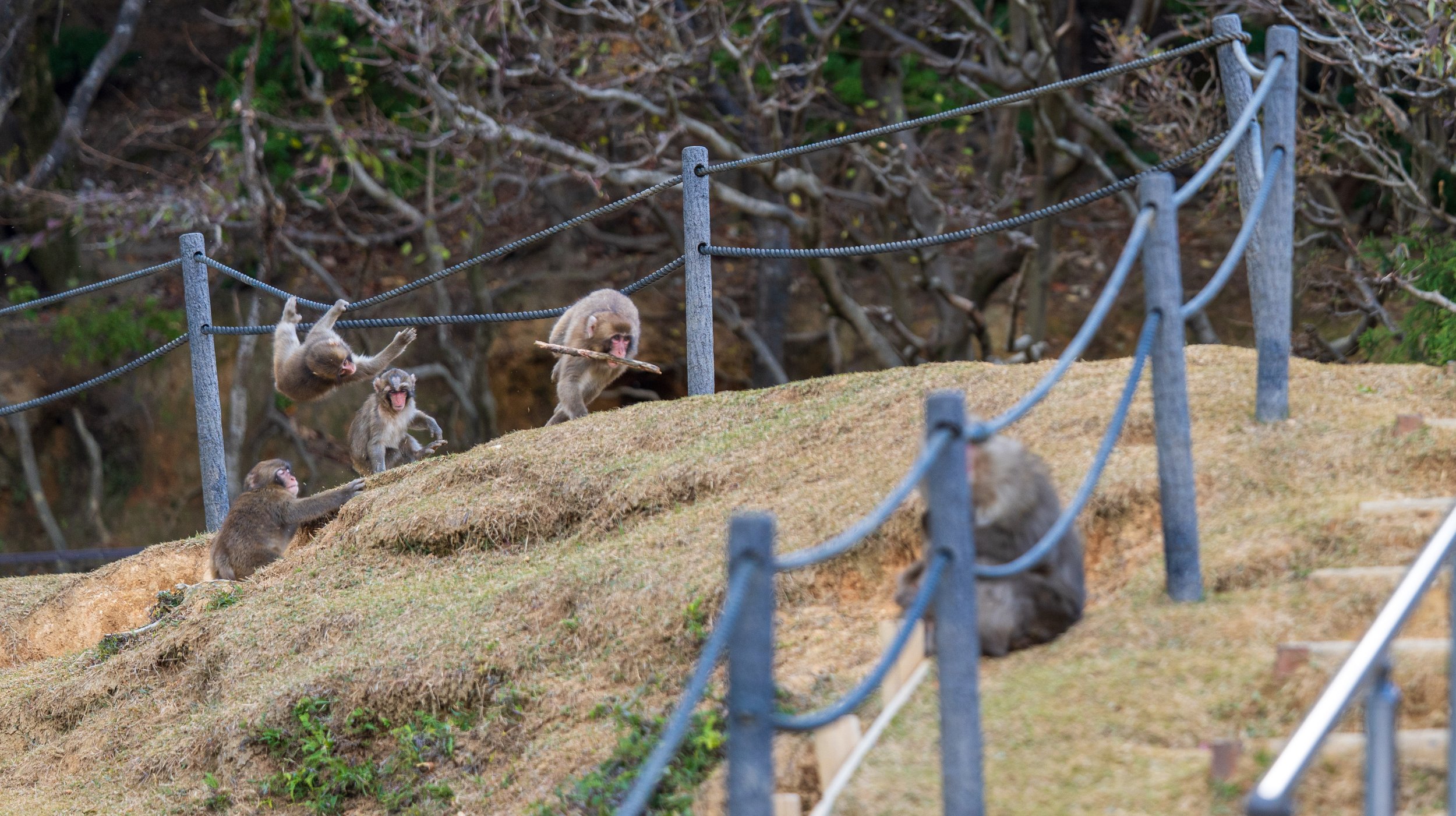 Playing protect the stick (photo/Jason Rafal) 