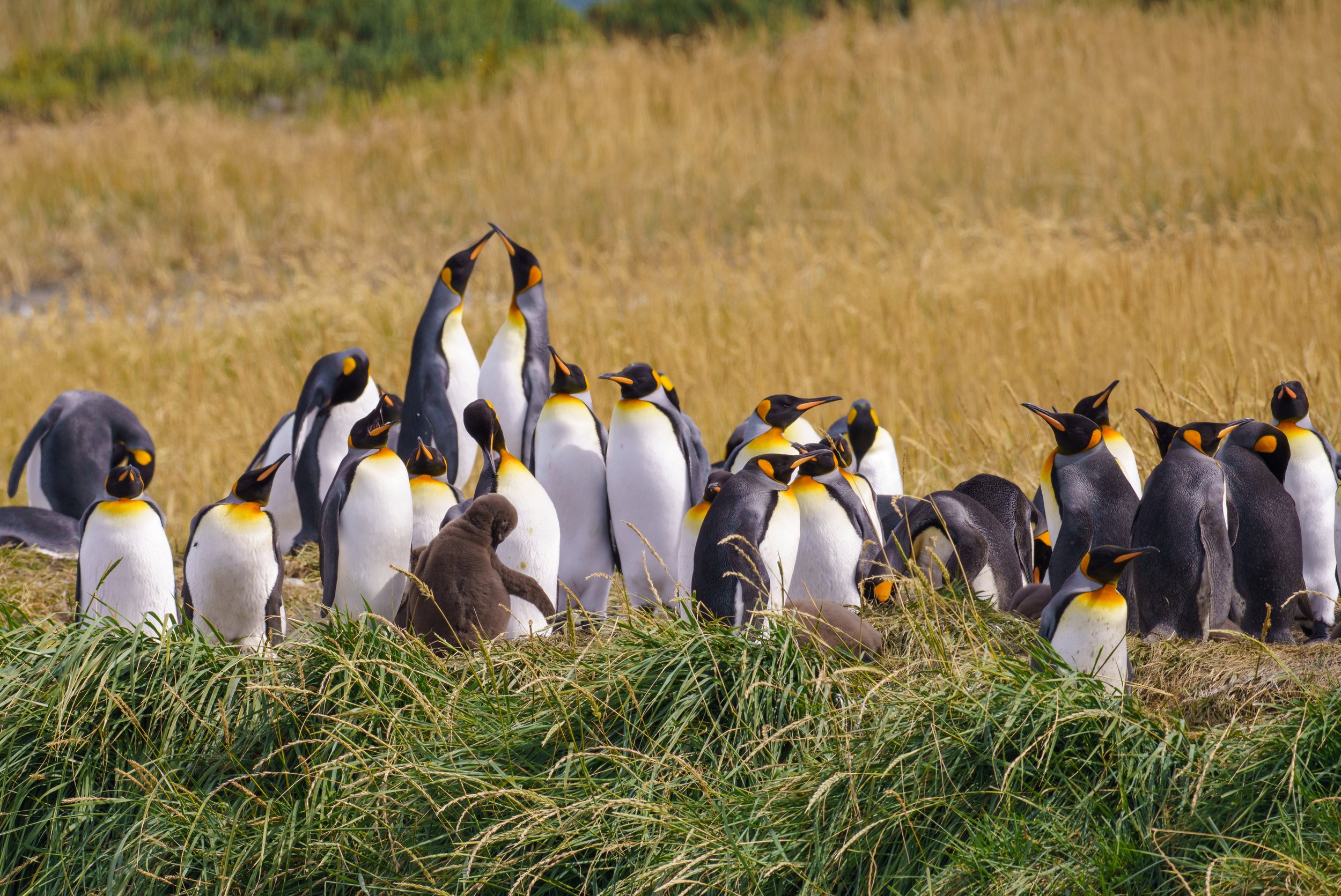  No idea what these guys were doing (photo/Jason Rafal) 