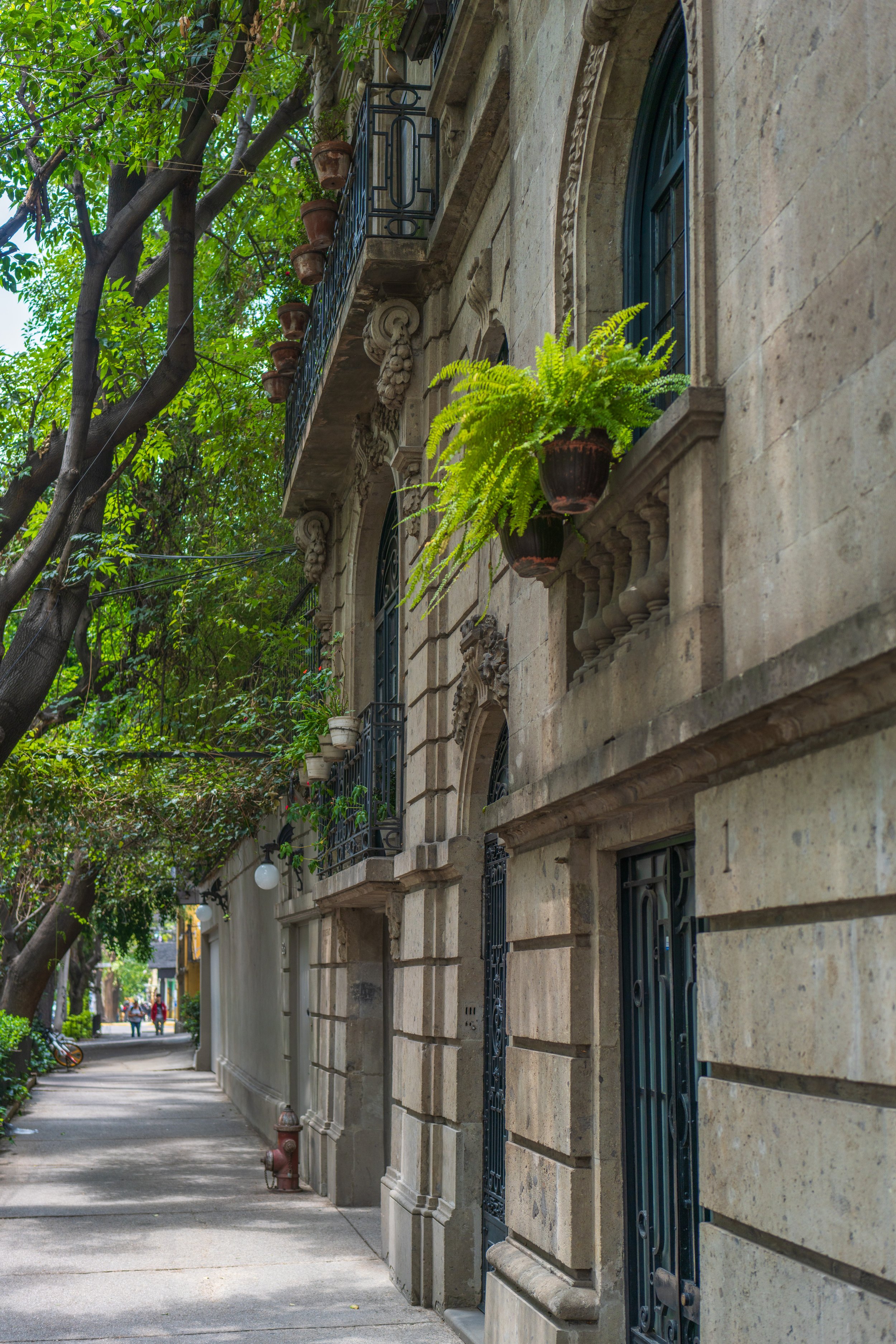 One of the beautiful streets in Roma Norte (photo/Jason Rafal)