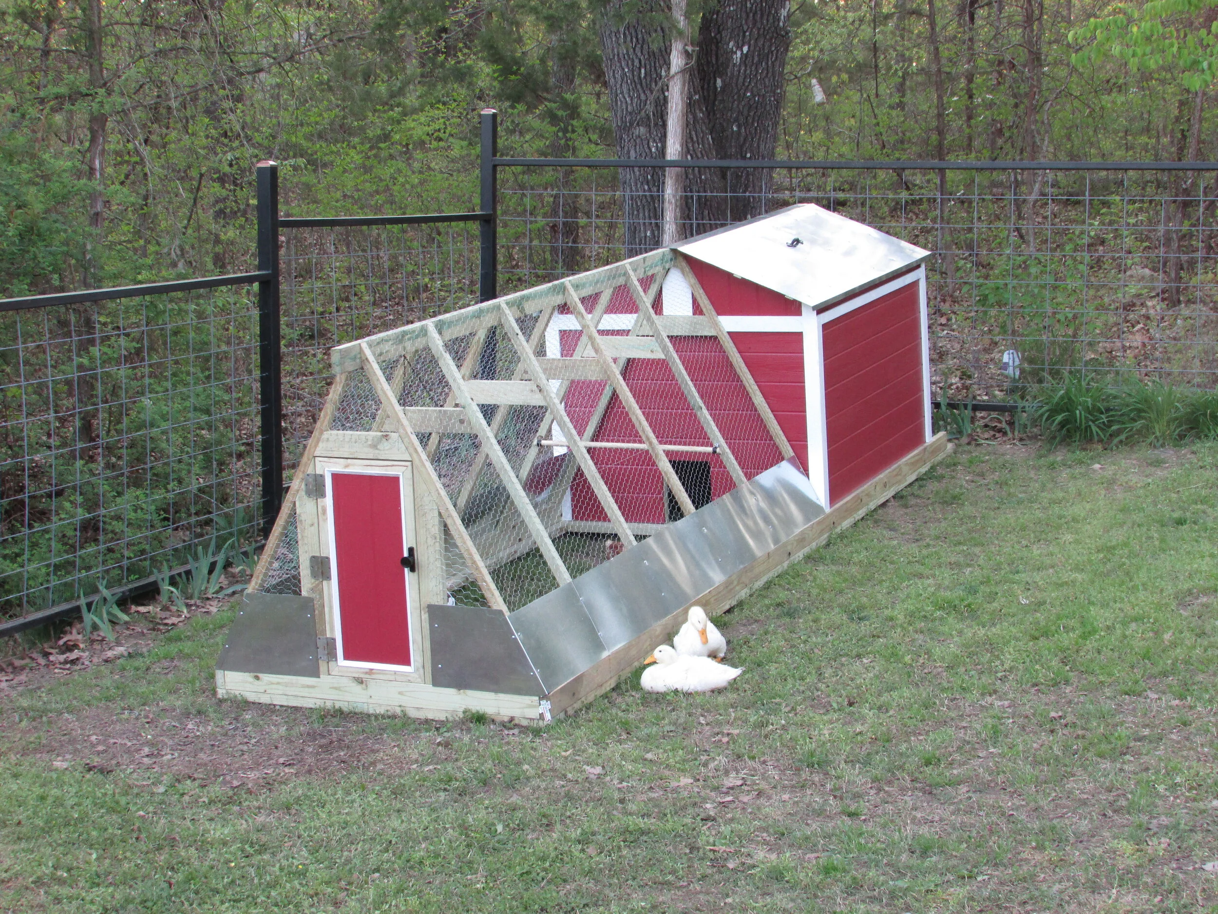 Chicken Coop