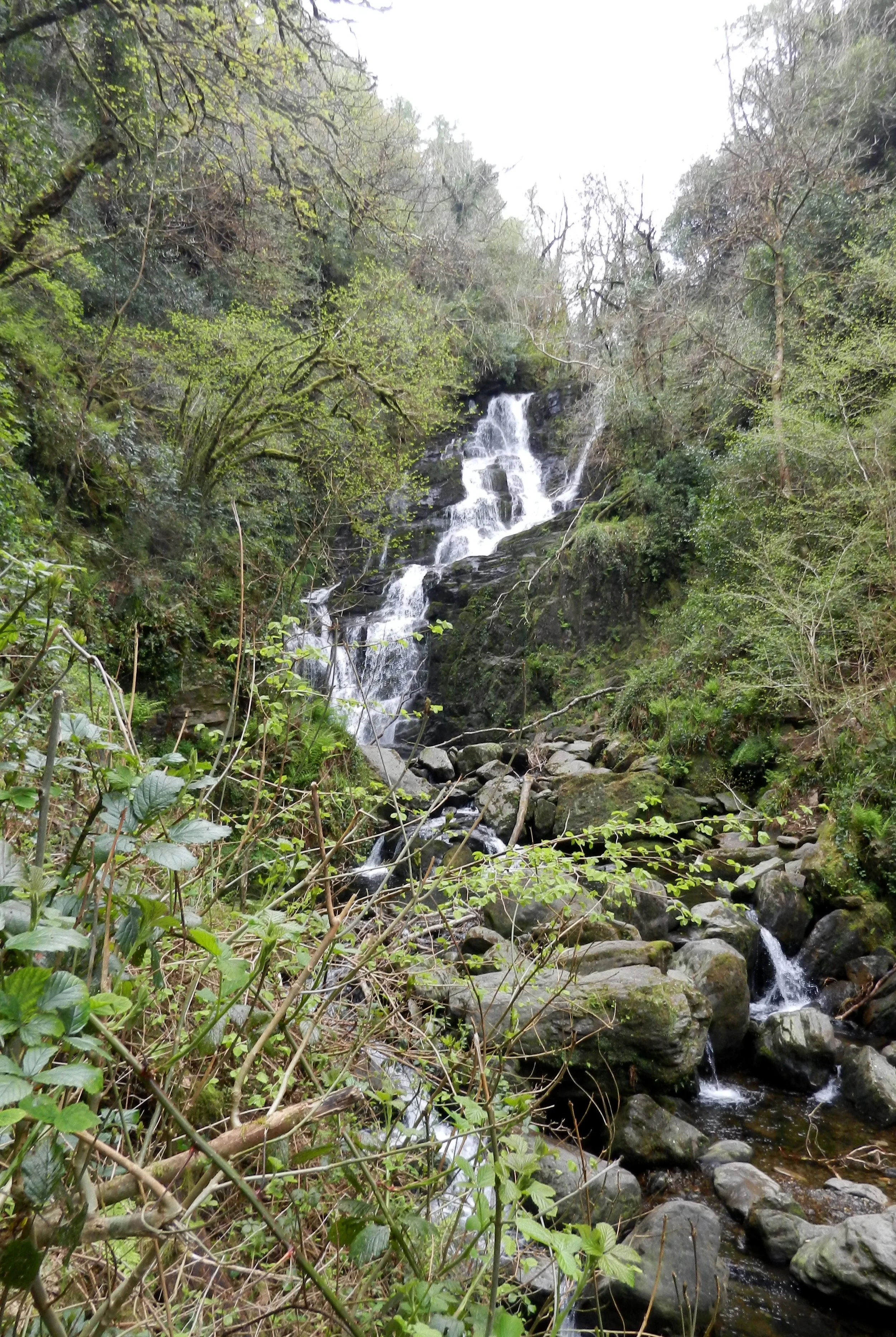 K.MuckrossFalls.jpg