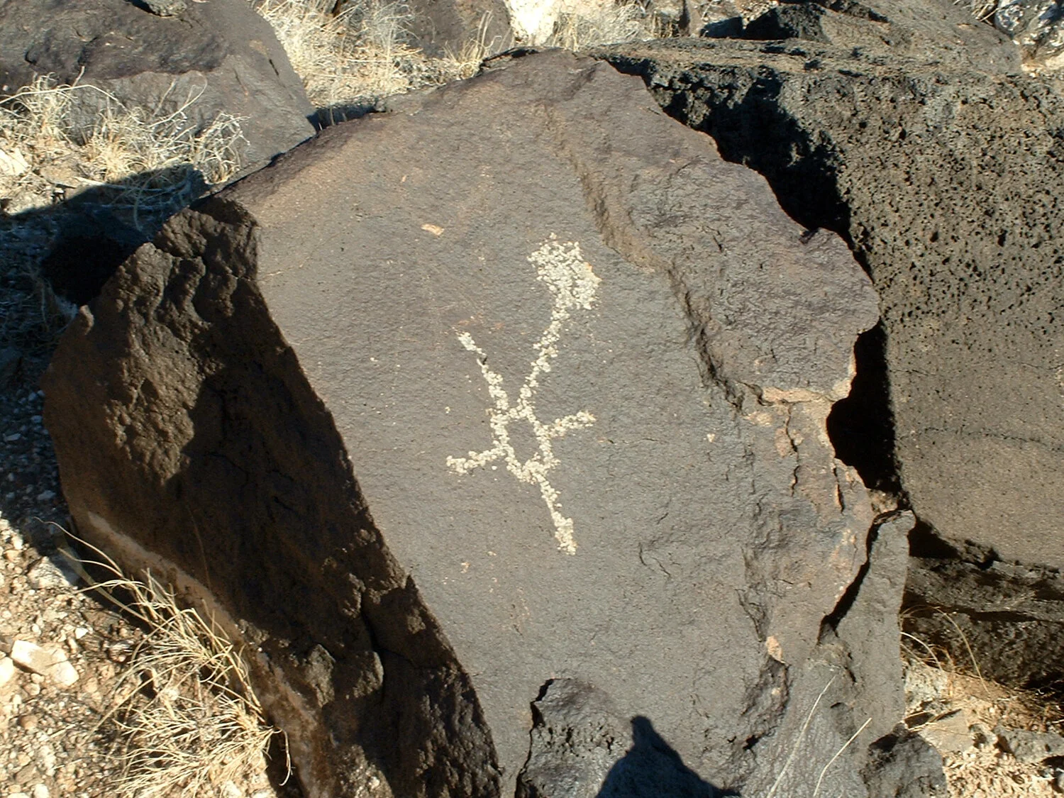 petroglyph2-new-mexico.jpg