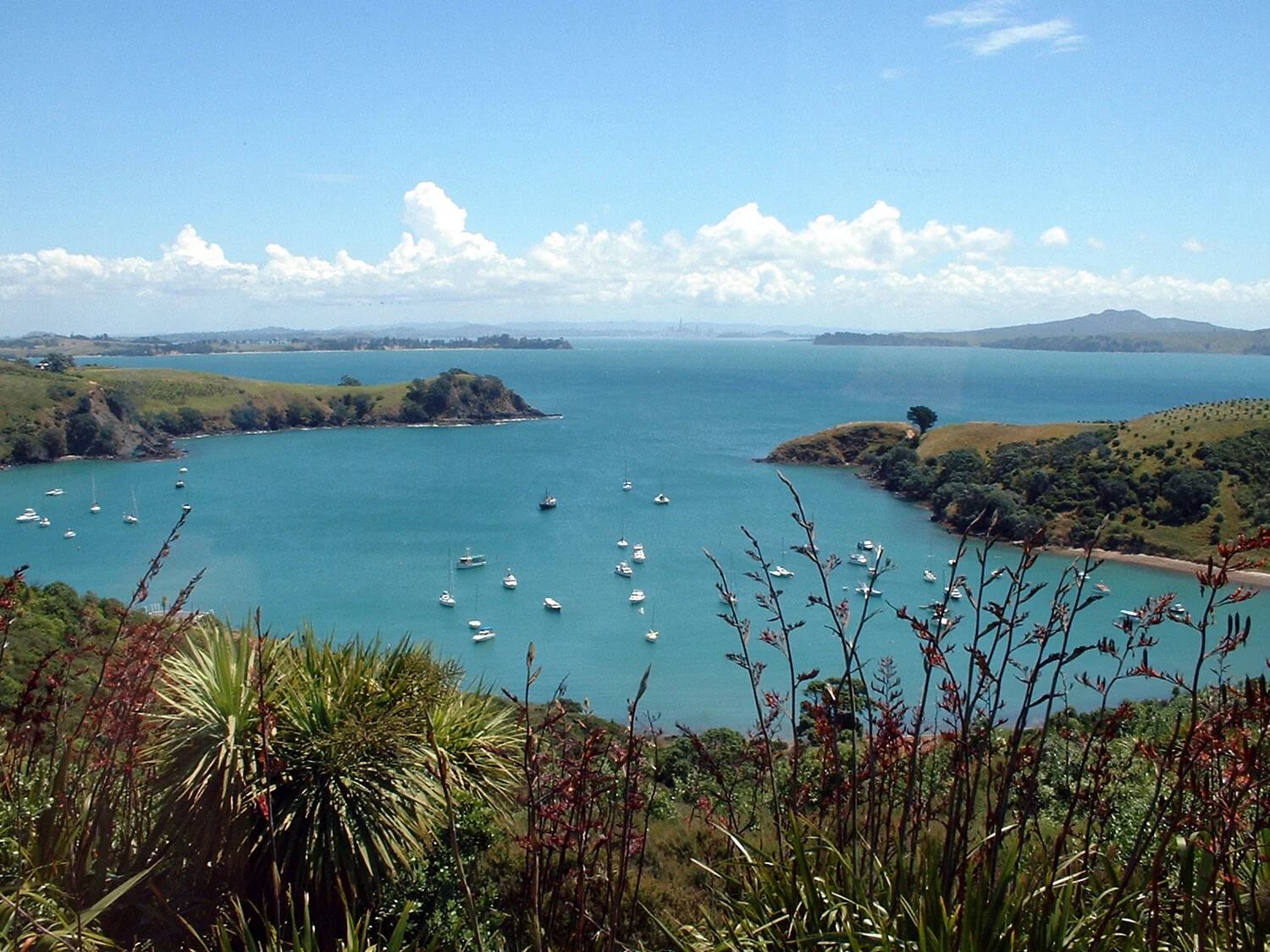 waiheke-nz.jpg