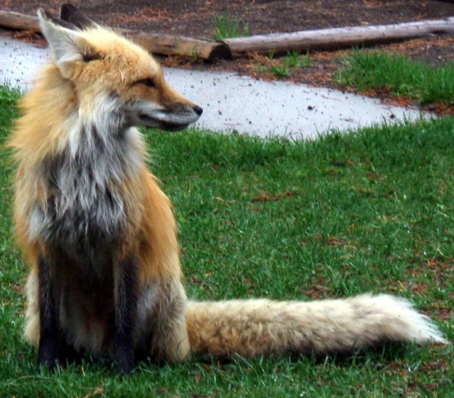 DAY1 5-30-2009 AM 11-27-56.JPG