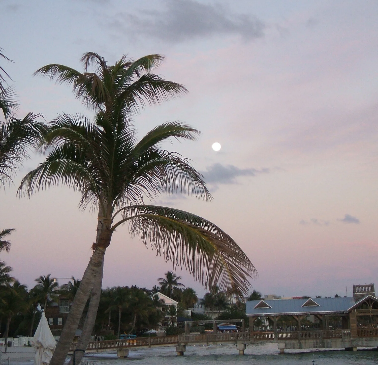 moonrise-key-west.jpg