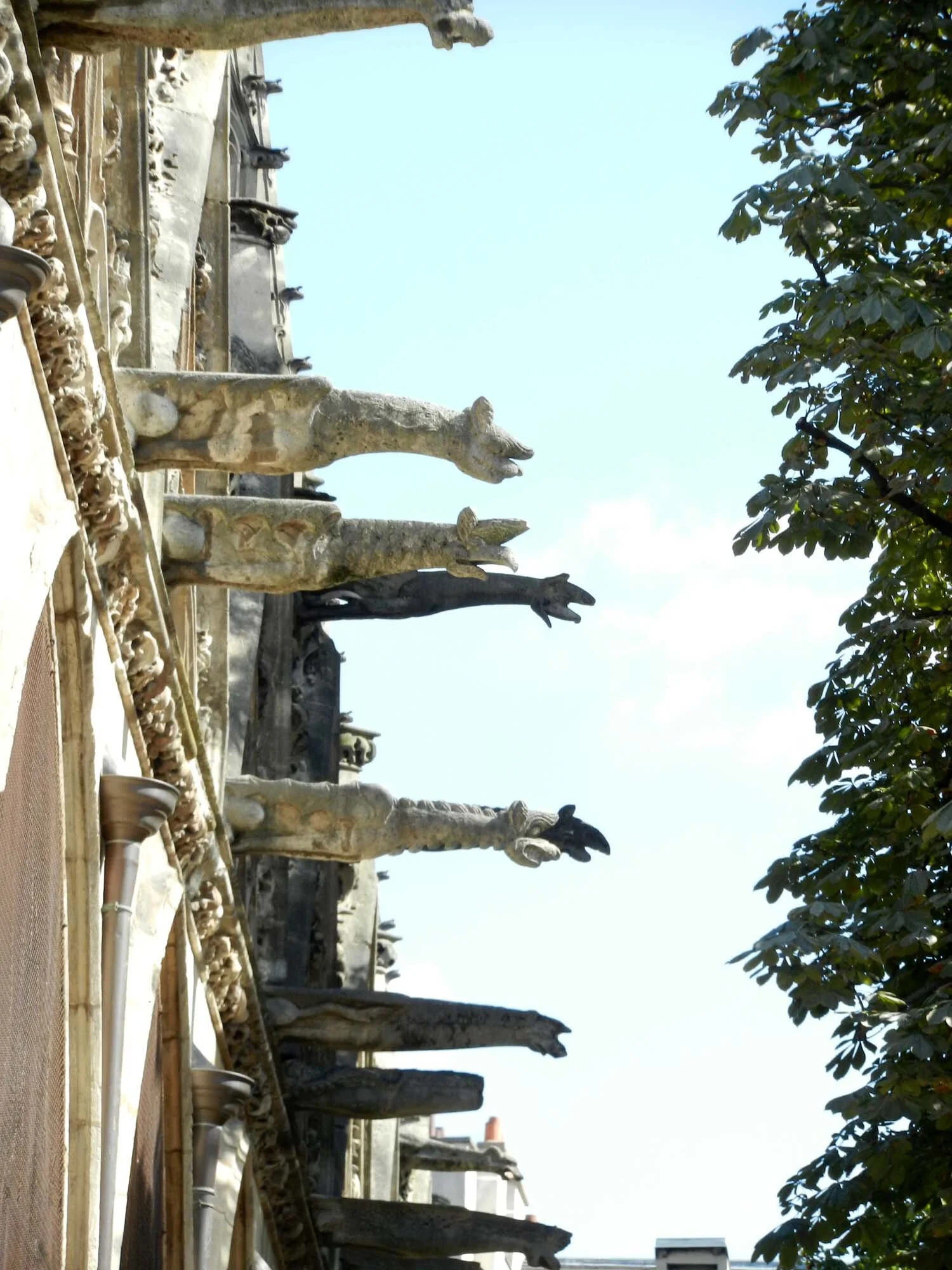 gargoyles-paris.jpg