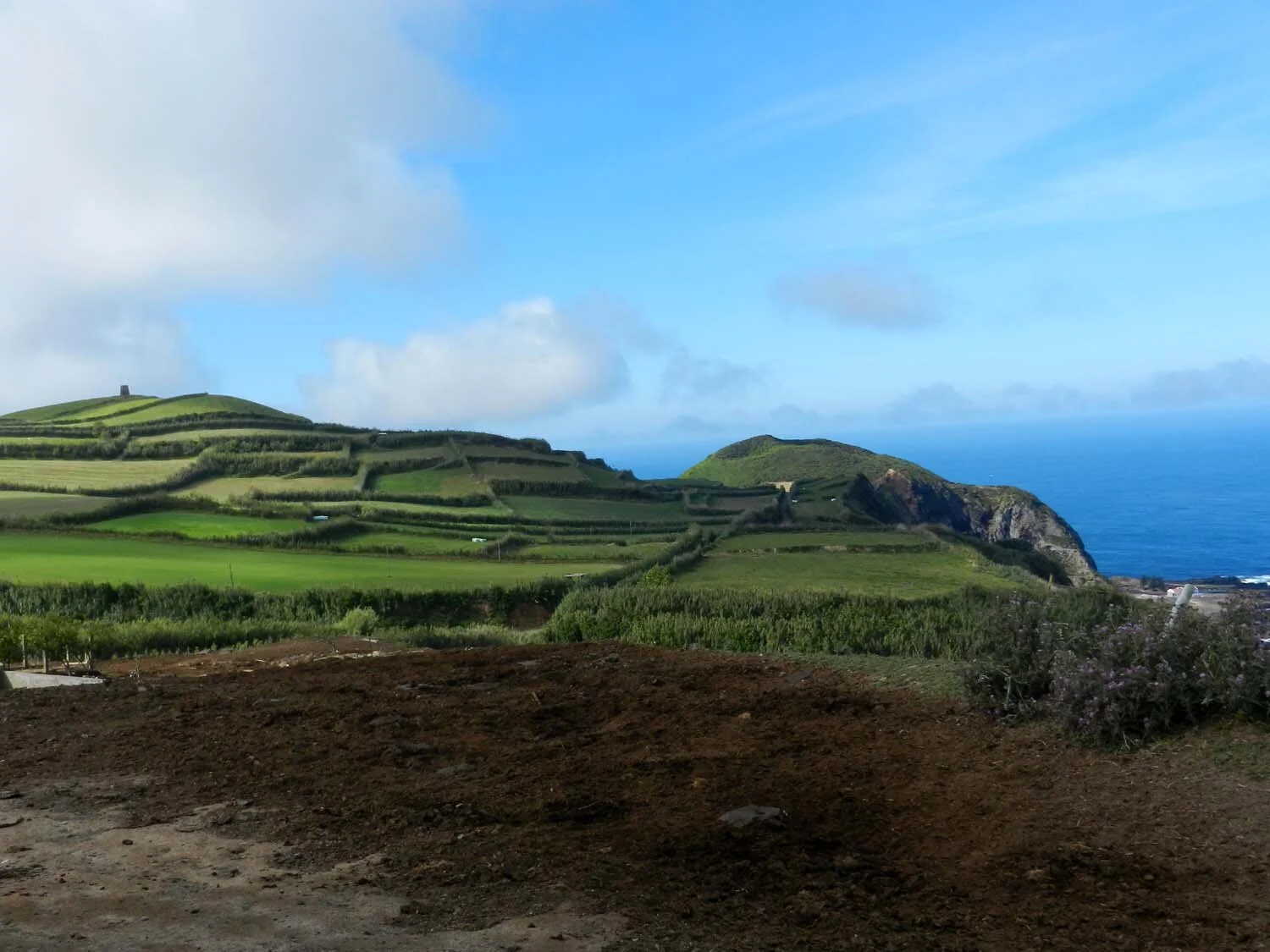 farm-fields-azores.jpg