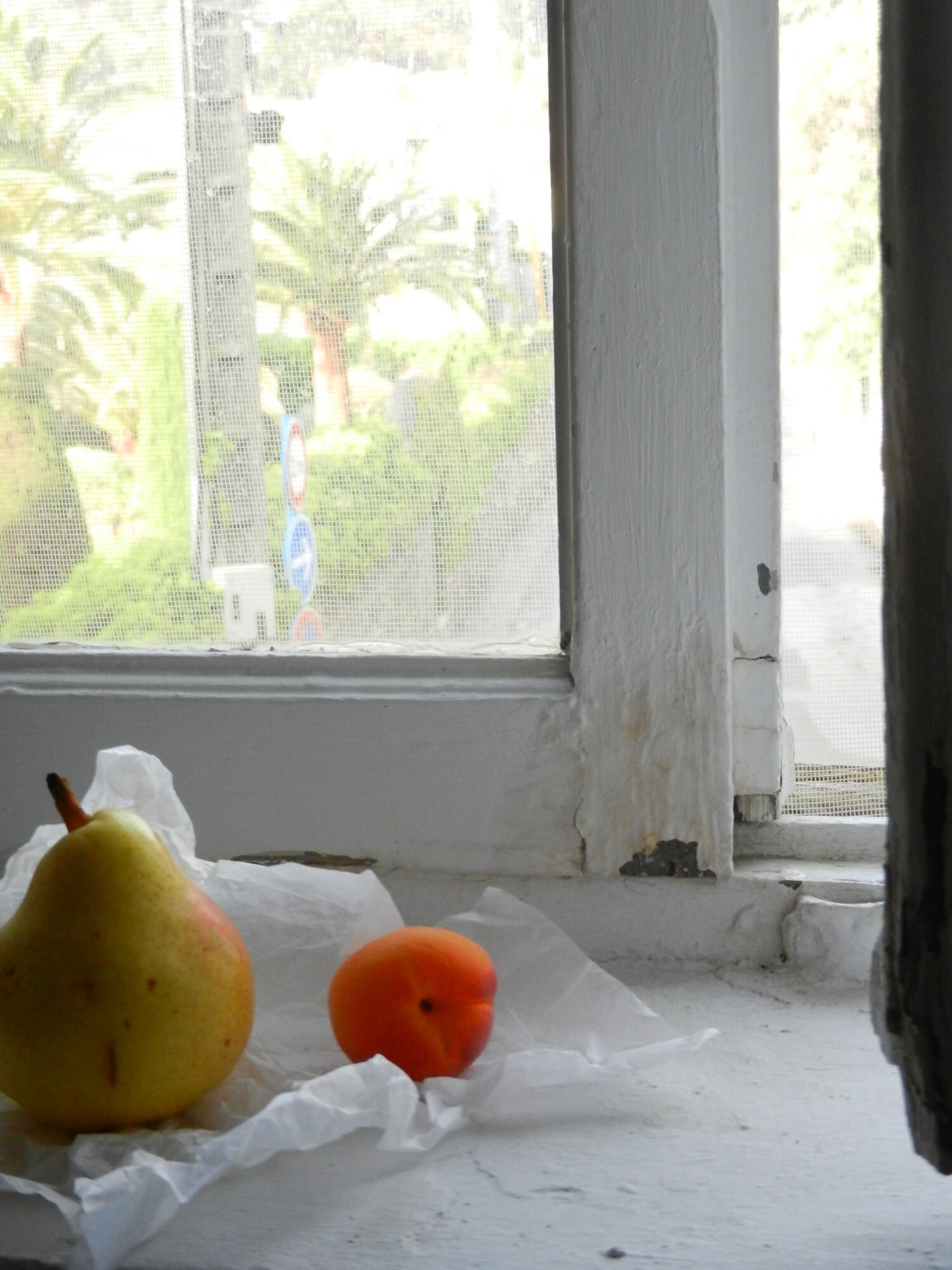 fruit-napoule.jpg
