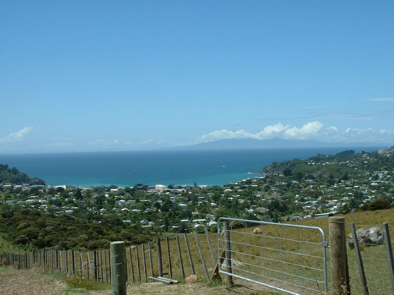nz1.jpg