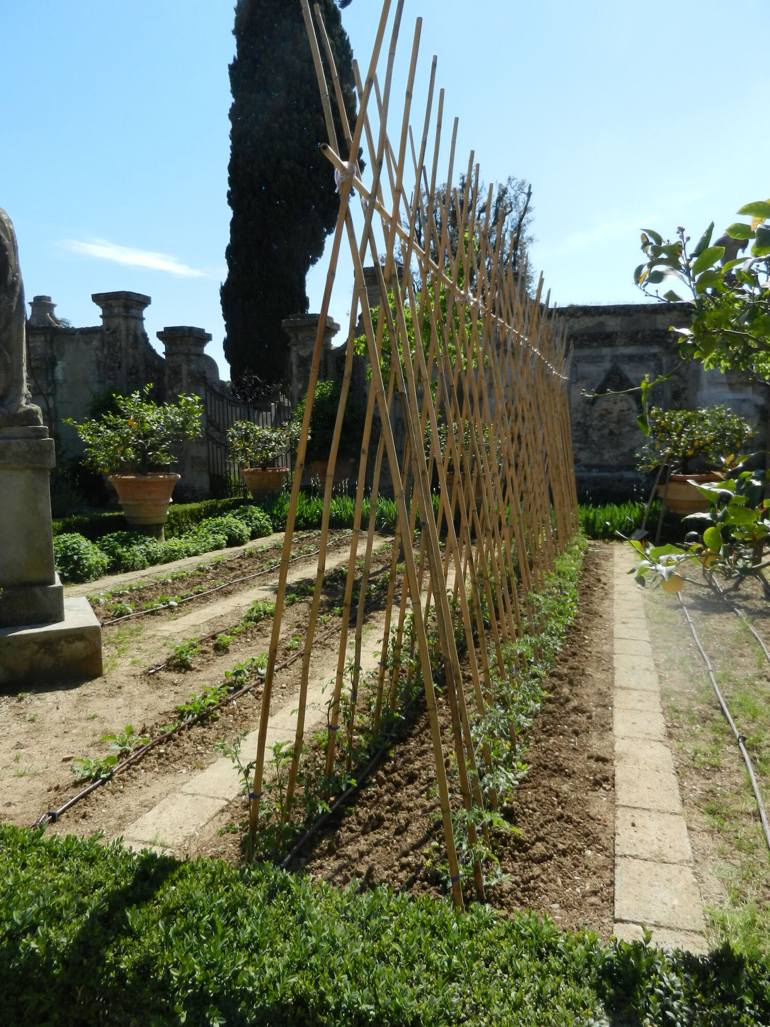 VillaVegGarden1.jpg