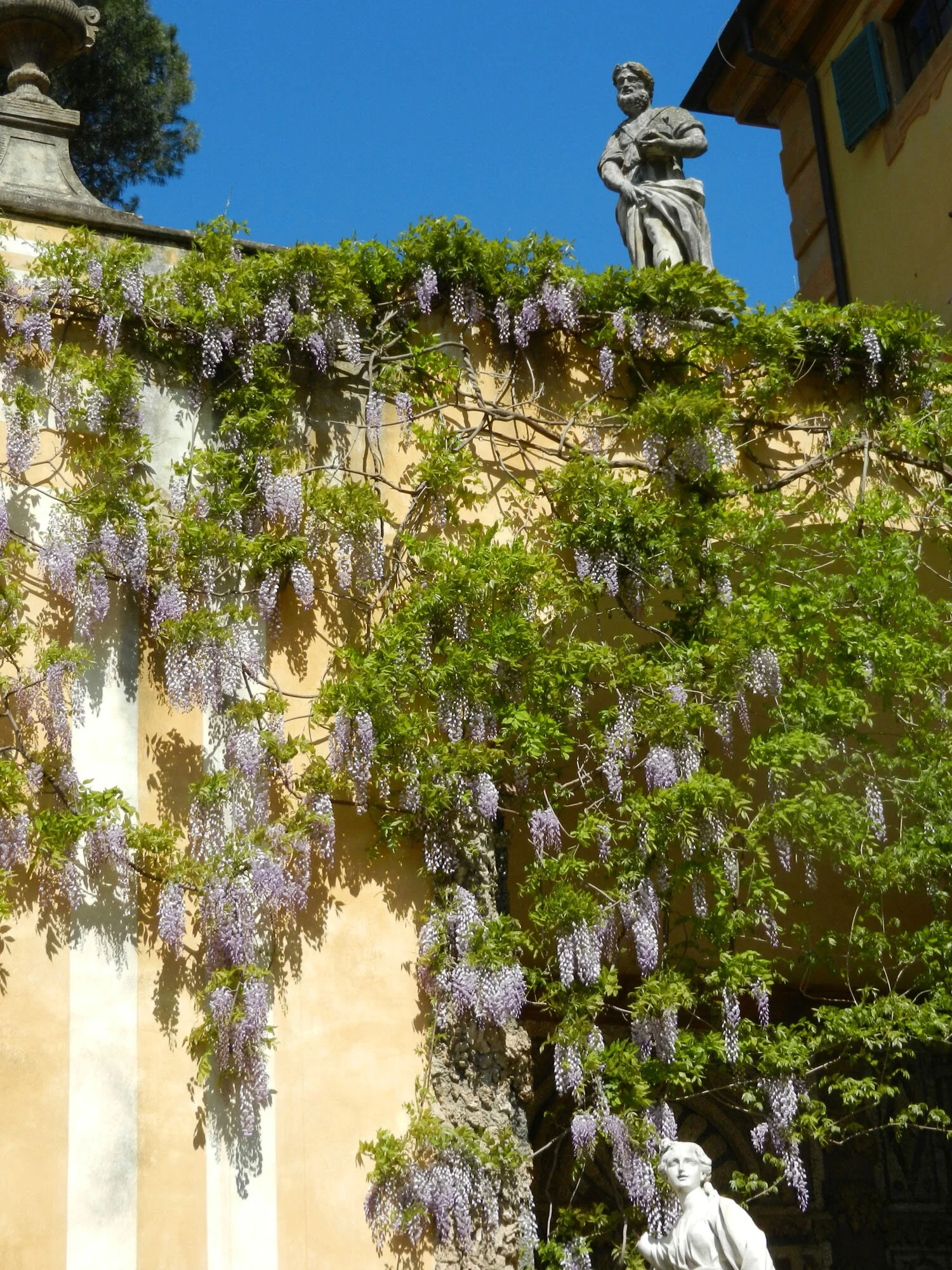 VillaWisteria.jpg