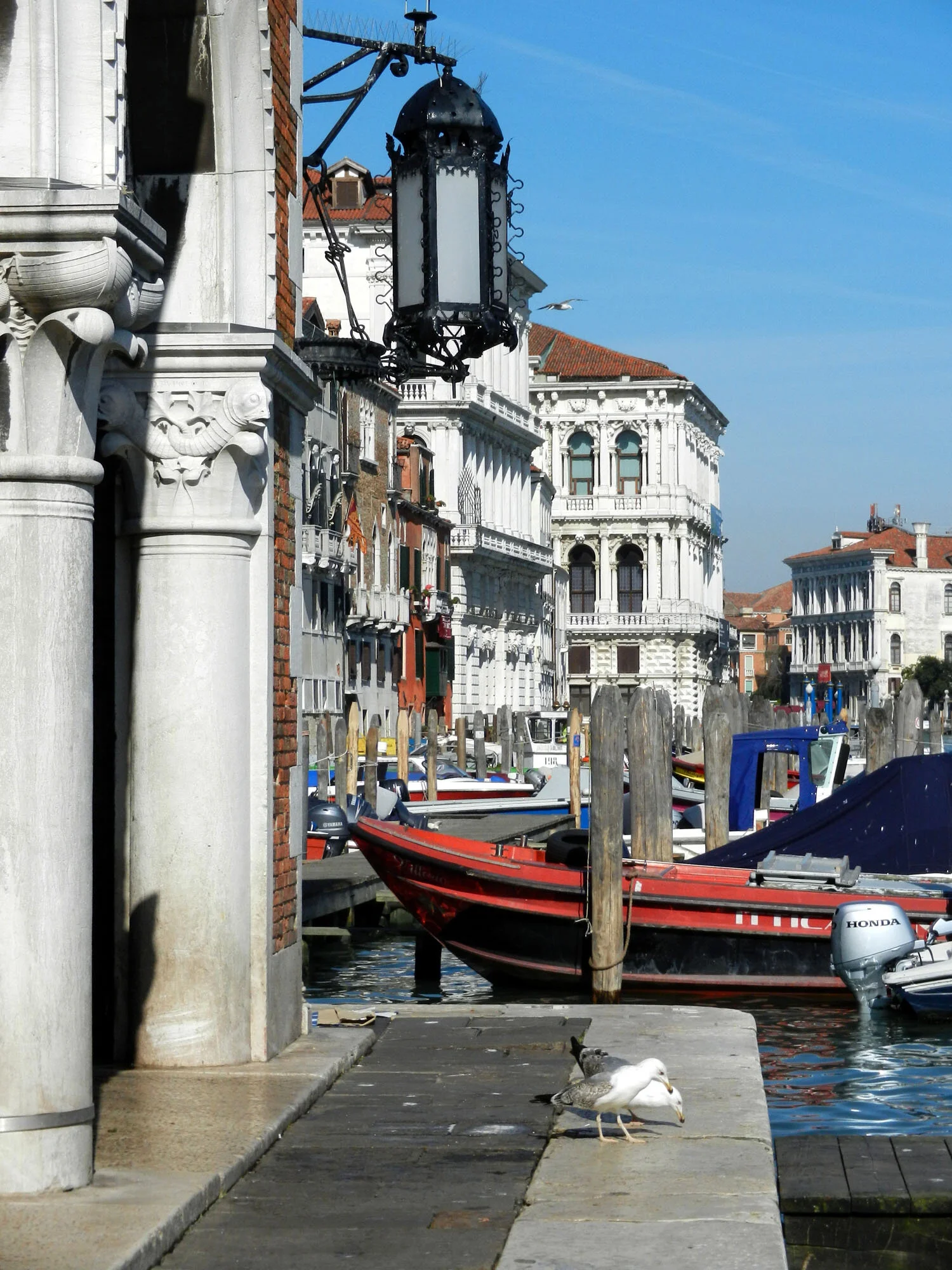MarketCanalFront.jpg