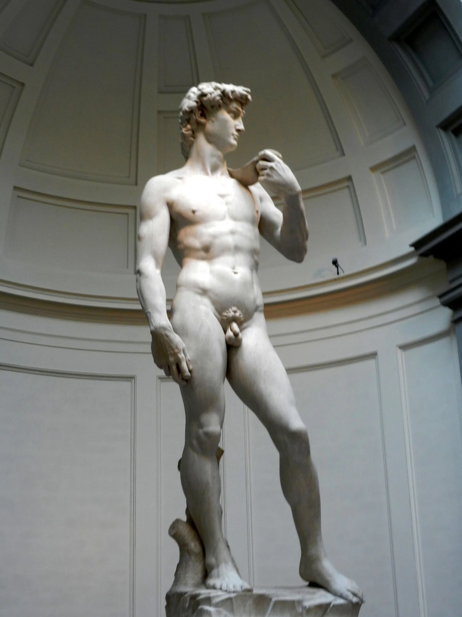 DavidFull.jpg
