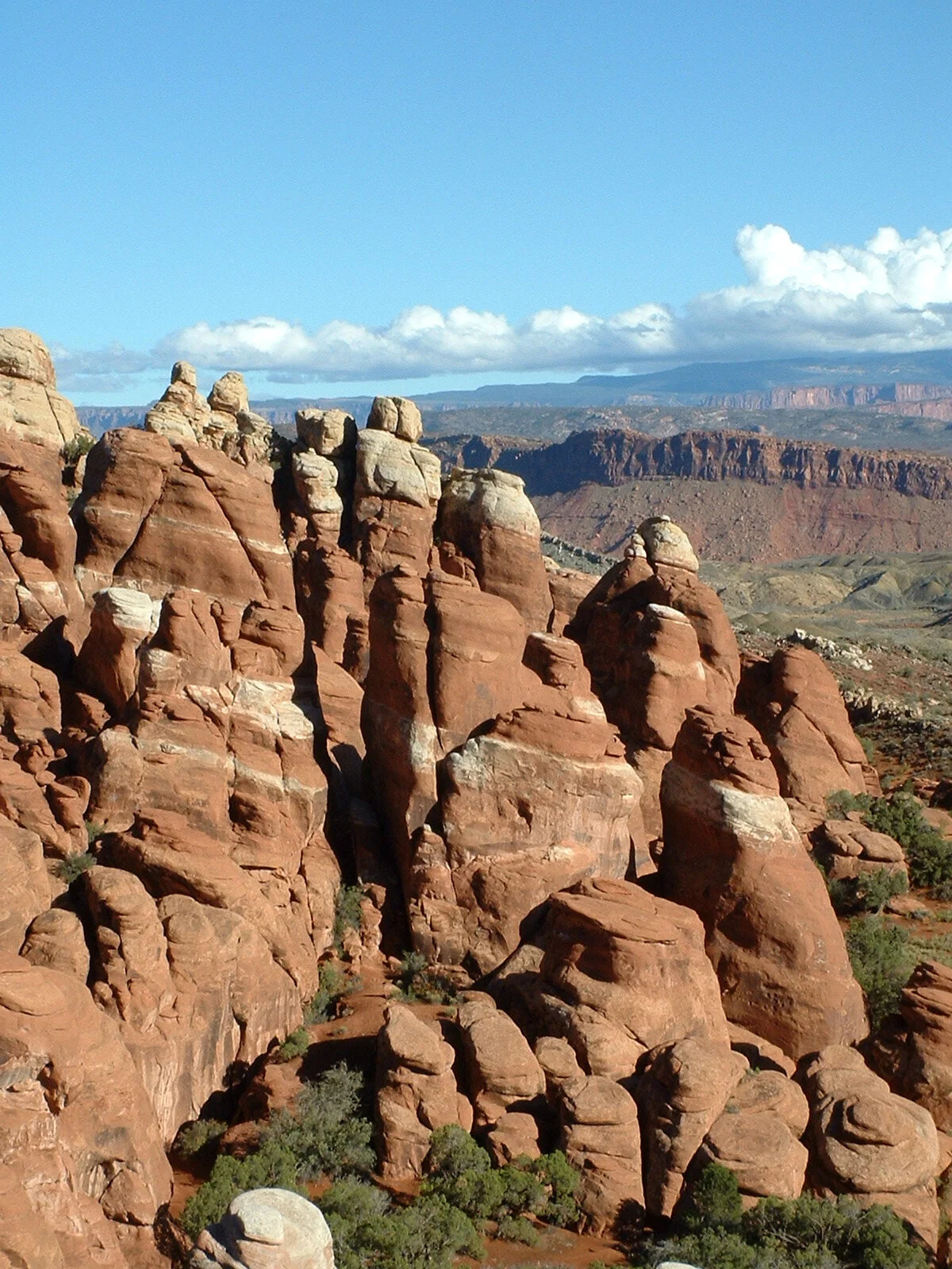 Arches NP Fins.jpg