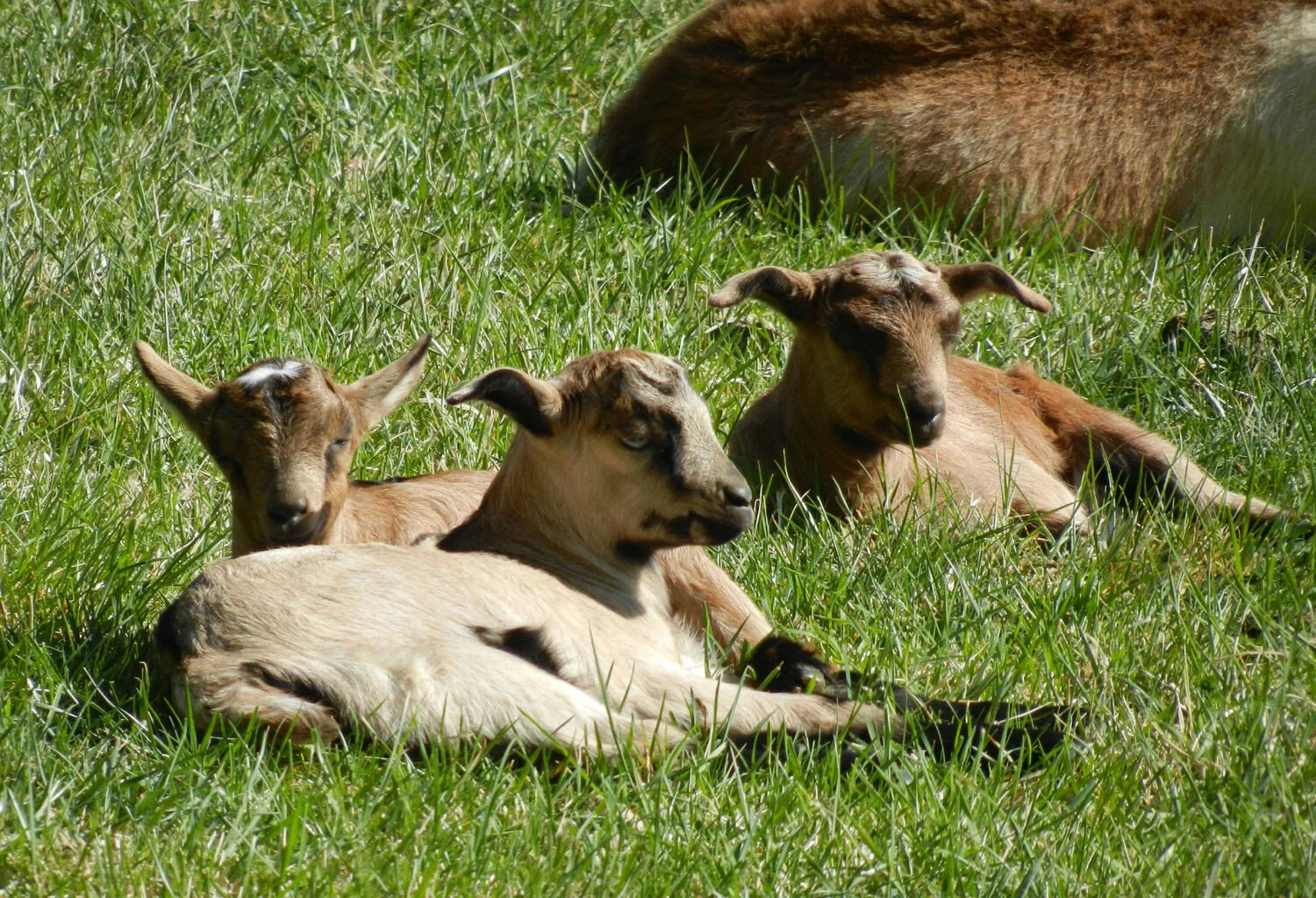 DSCN1676.jpg