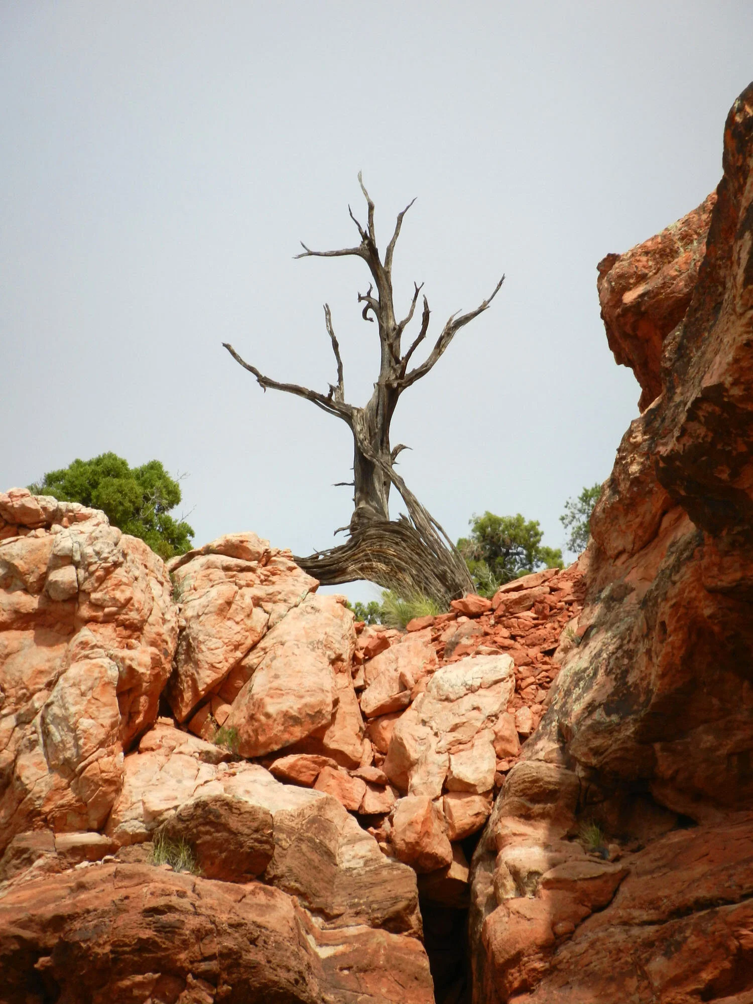 DSCN1830.jpg