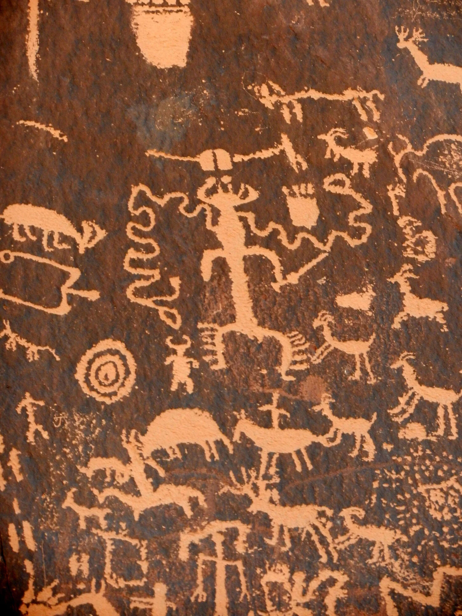 DSCN1868.jpg
