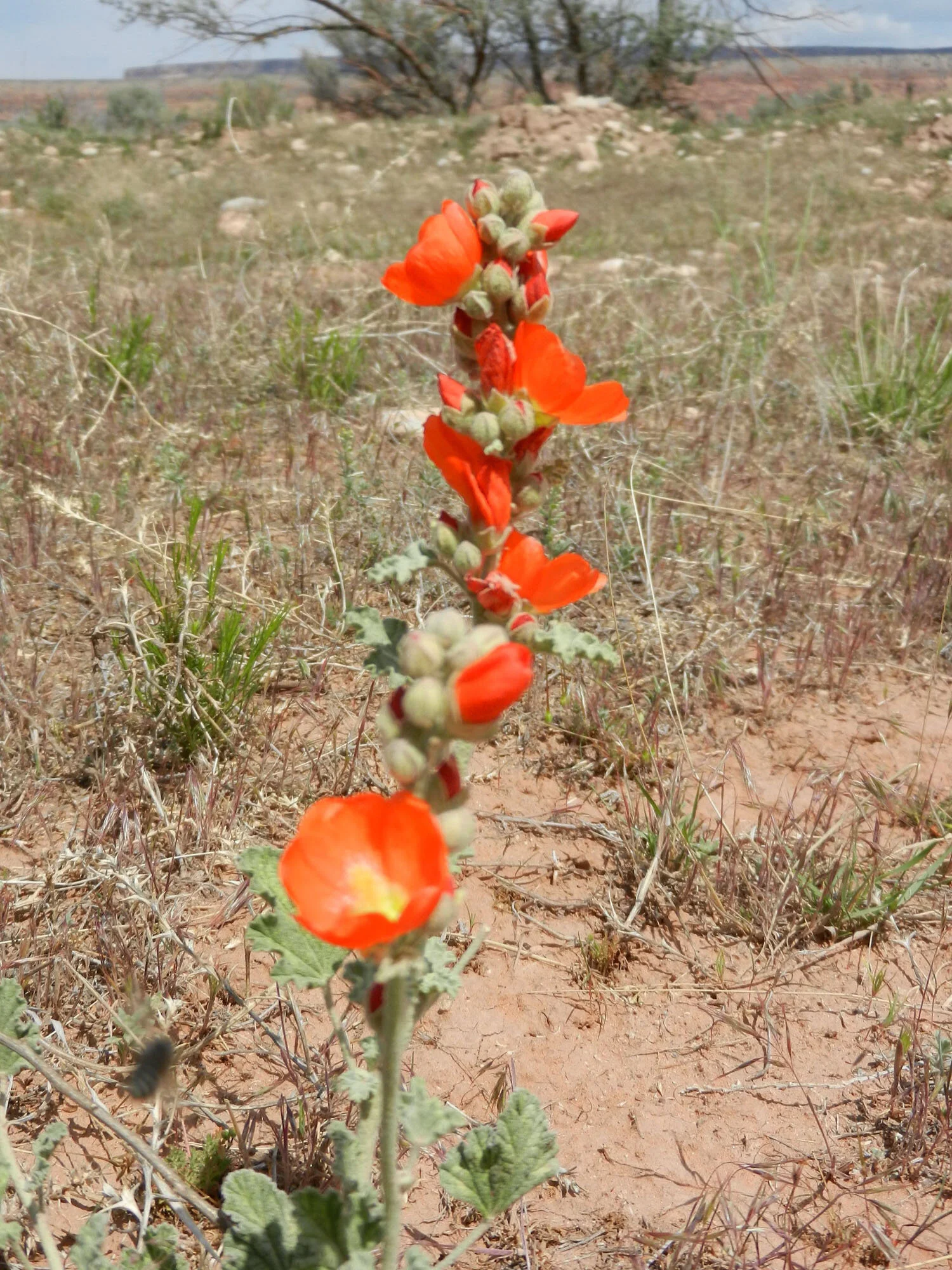 DSCN1892.jpg