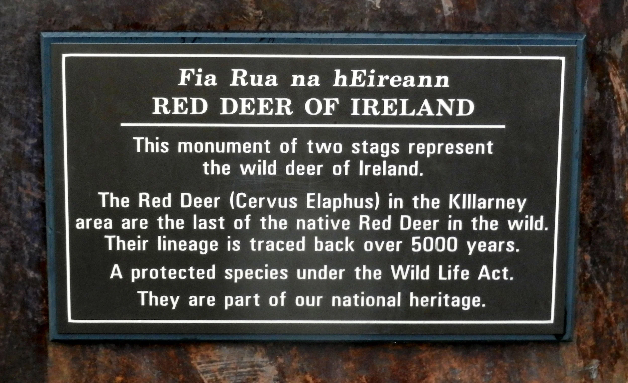 K.RedDeerPlaque.jpg