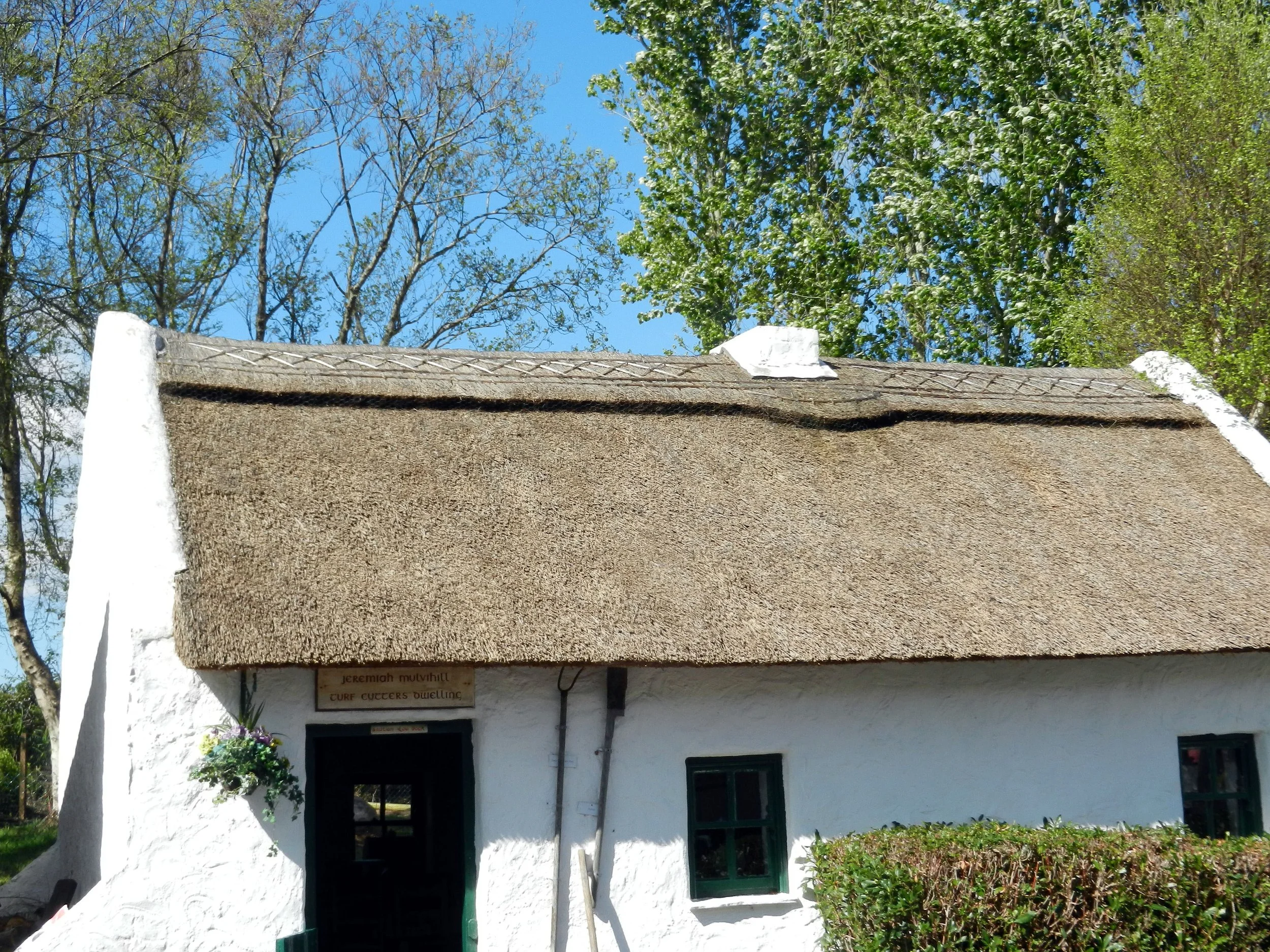 K.ThatchedRoof4.jpg
