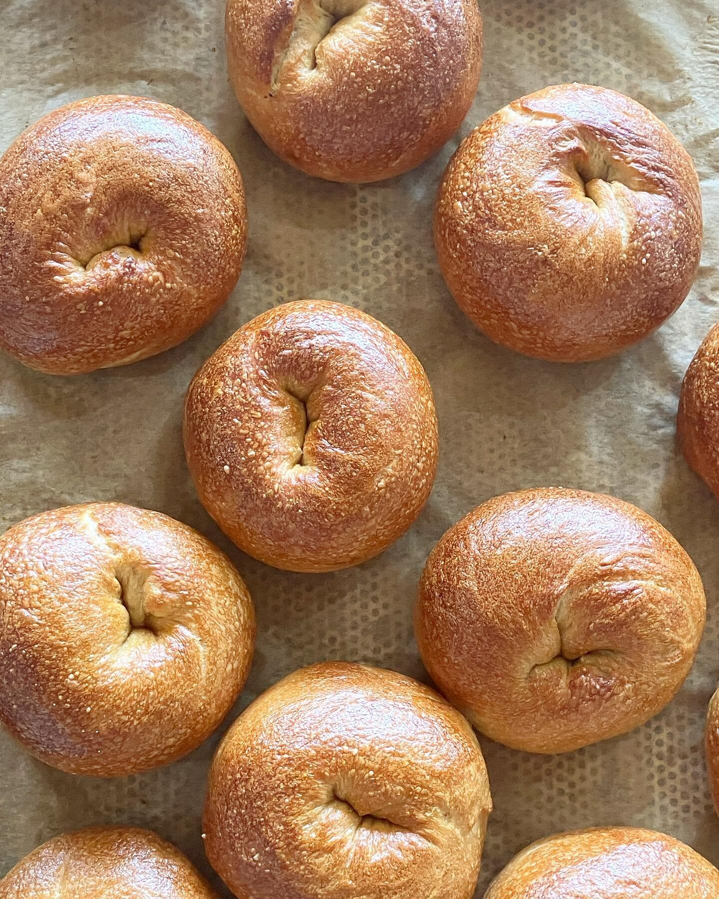 mt. bagel seattle bagels