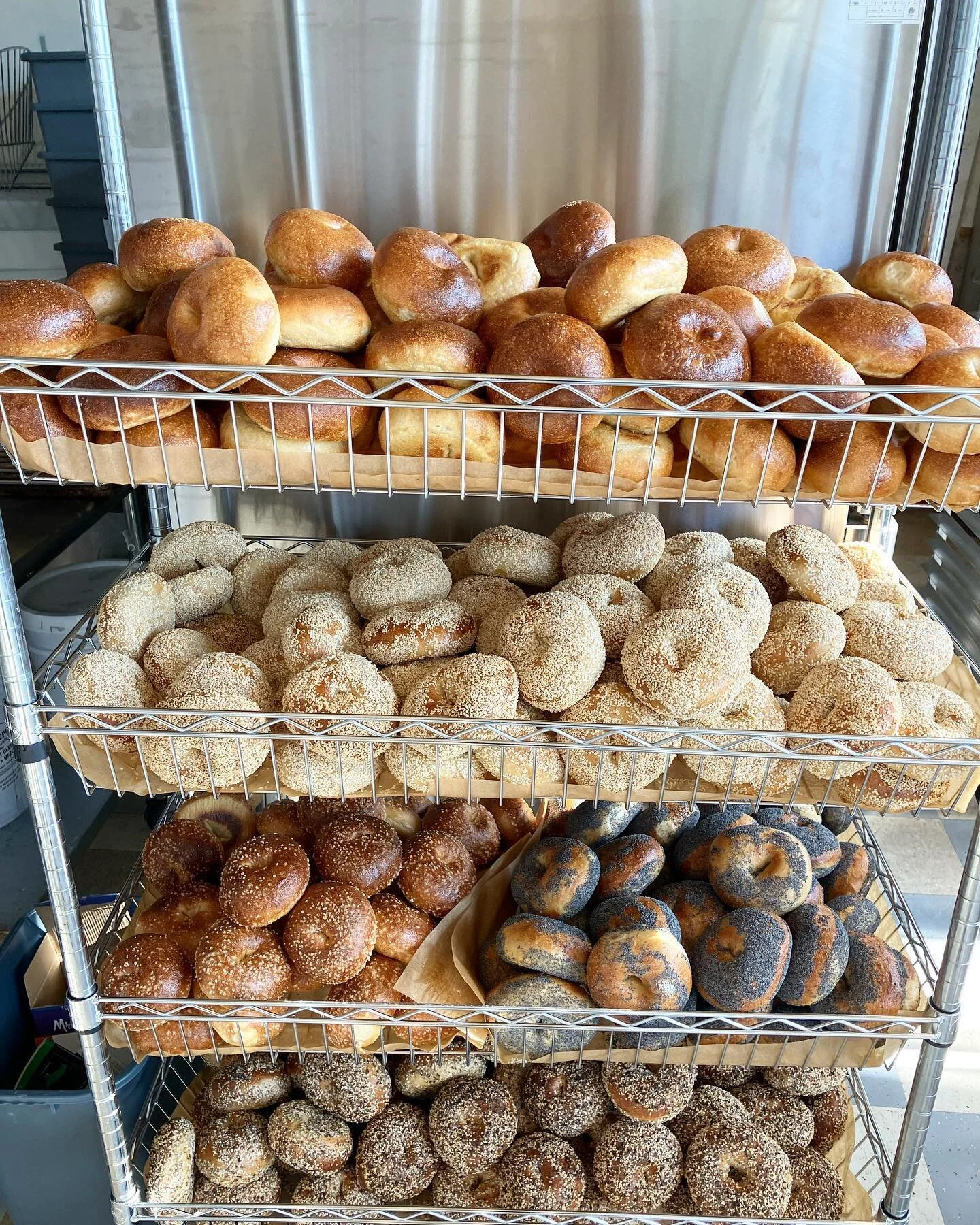 mt. bagel seattle bagels