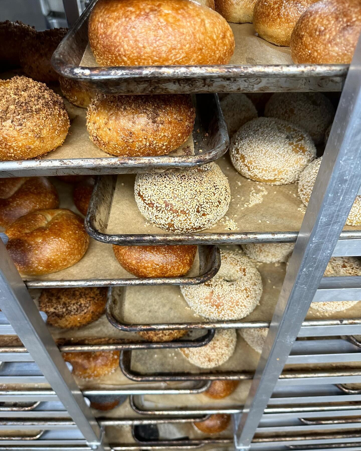 Sweet fancy Moses look at these babies.  100% professionally made by 100% professionals.  That&rsquo;s 200% pro stat bagels and that&rsquo;s science.
&hellip;
Open at 9:00